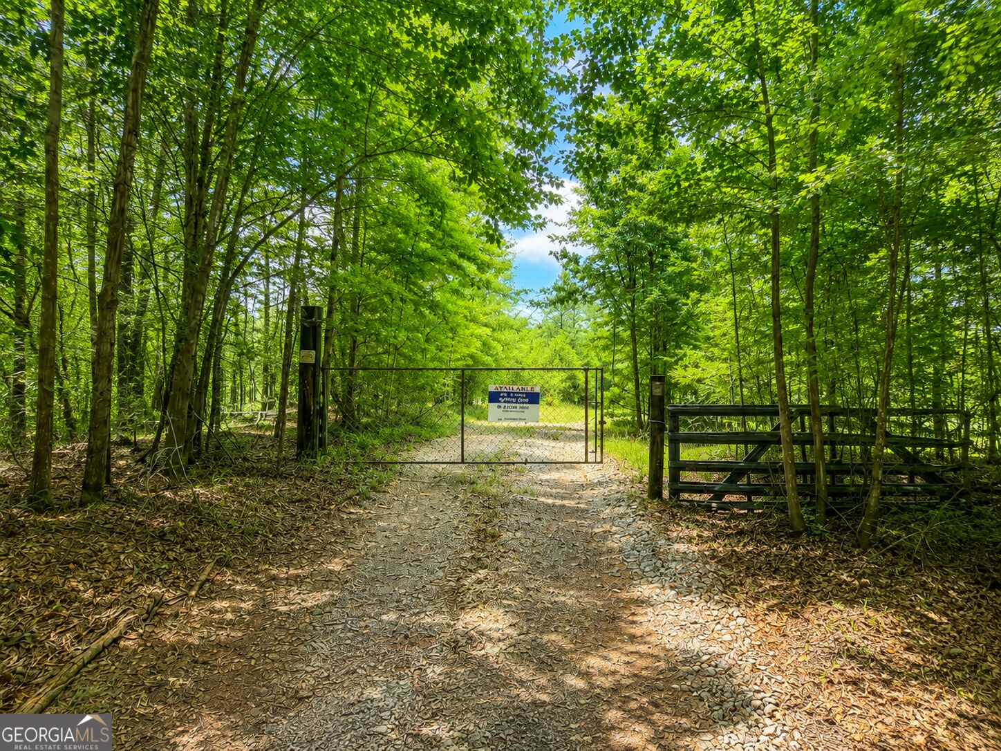 21 Acres Cochran Road Property Photo 1