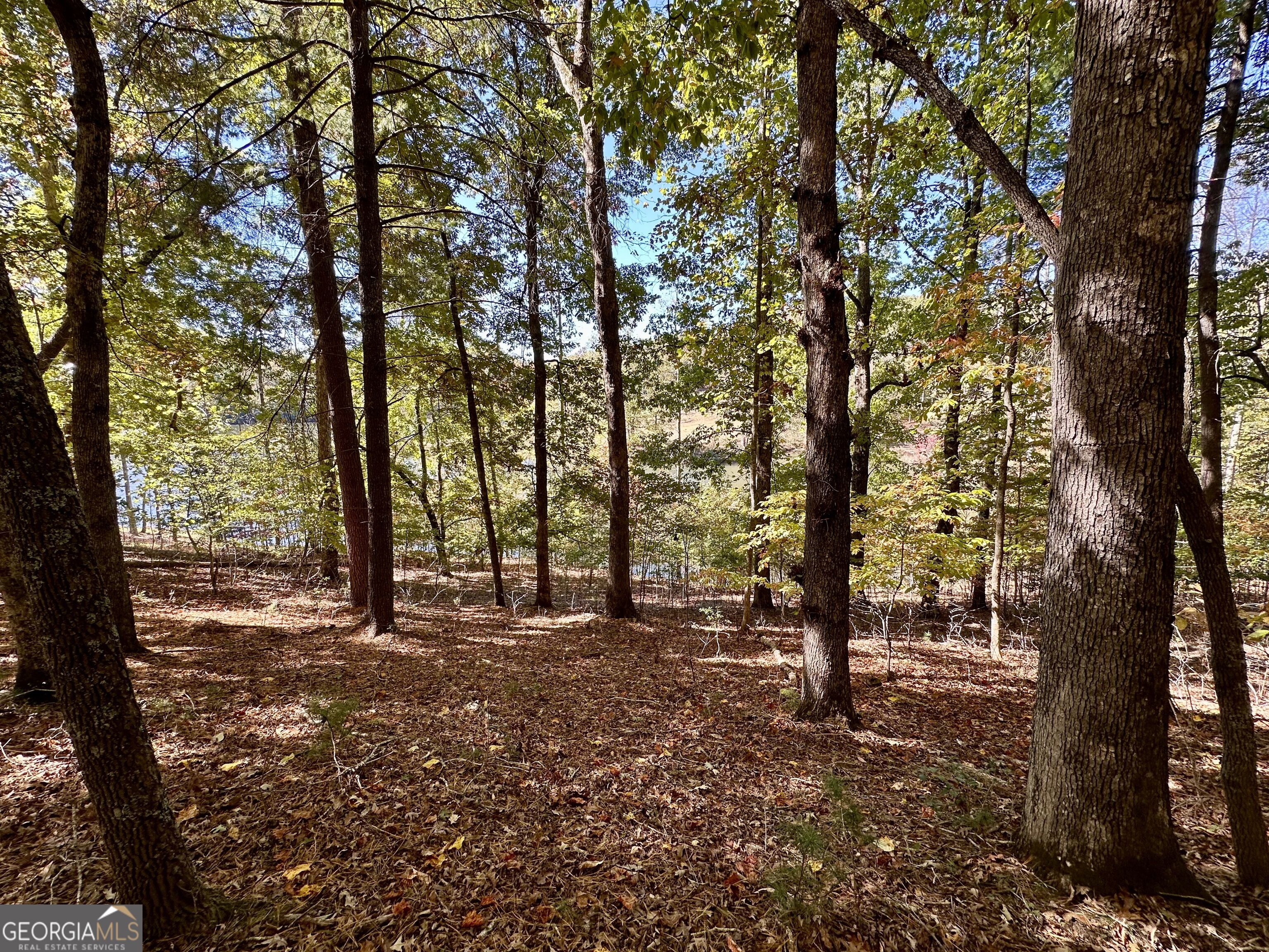 29 Forked Leaf Road Property Photo 5