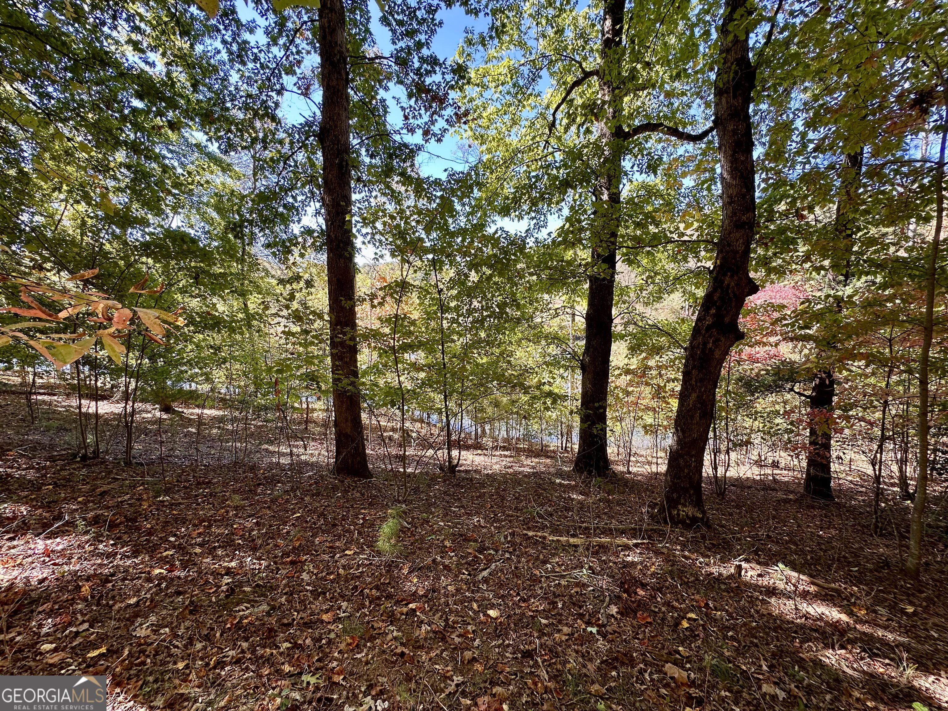 29 Forked Leaf Road Property Photo 6