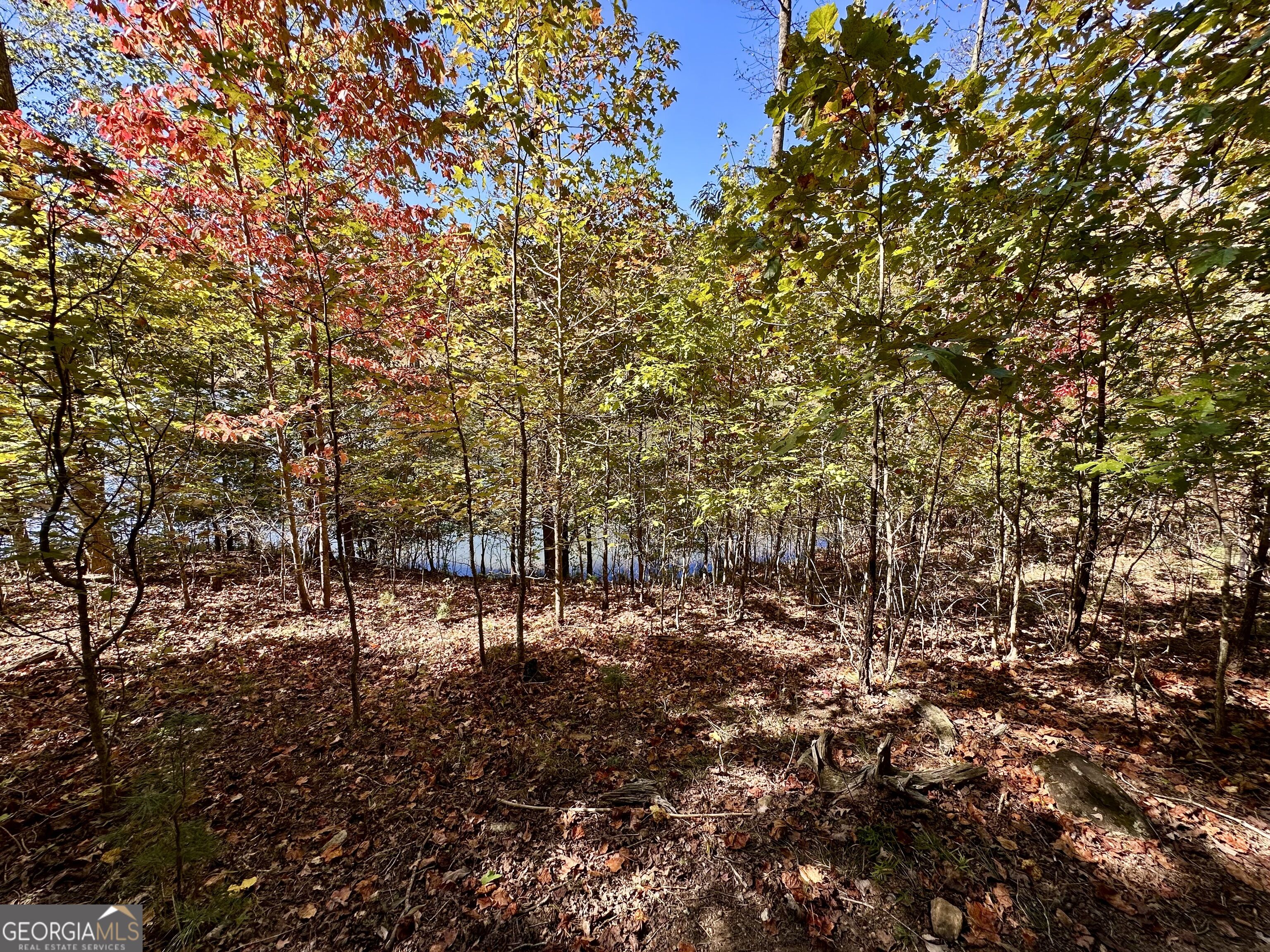29 Forked Leaf Road Property Photo 7