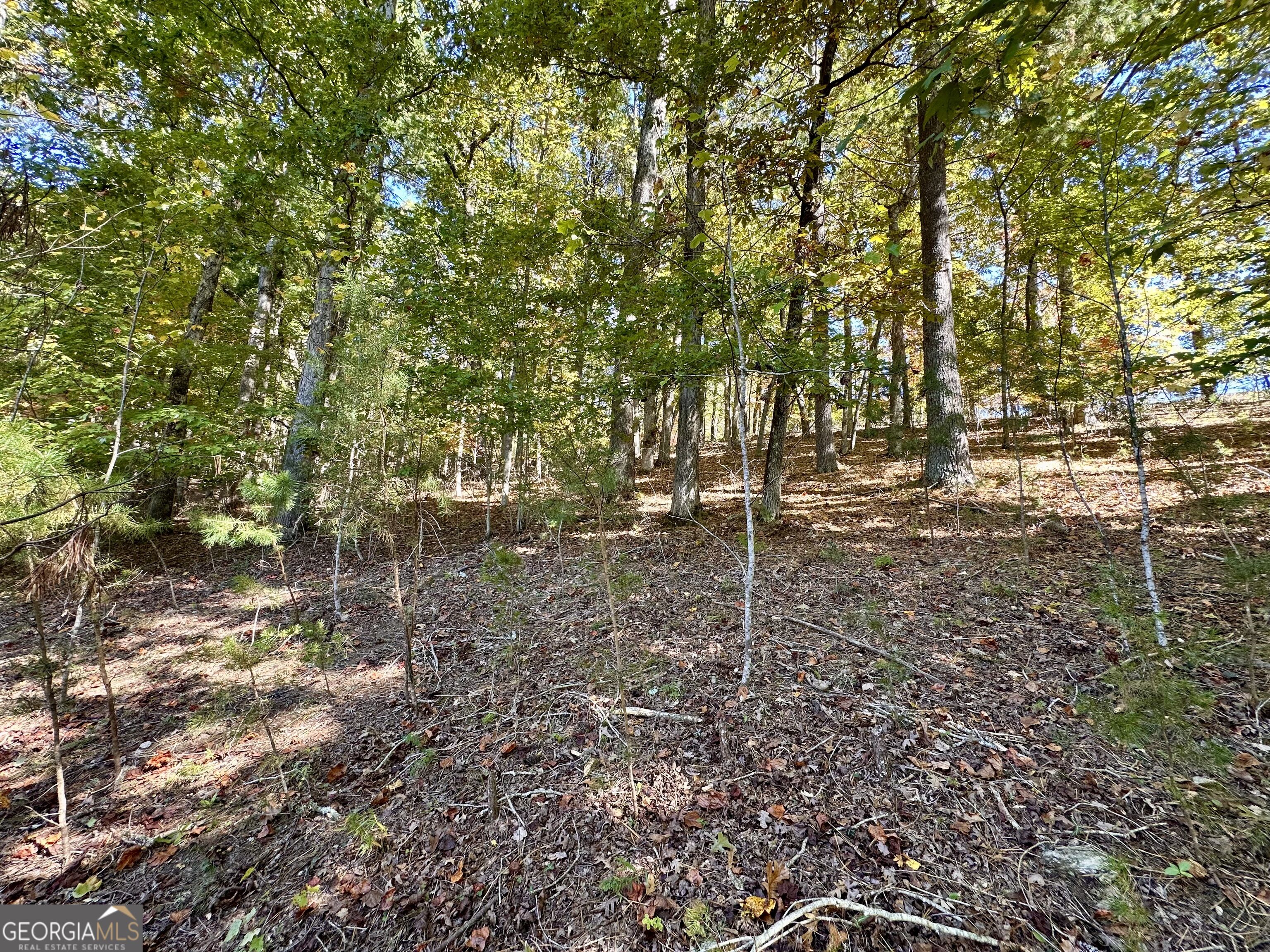 29 Forked Leaf Road Property Photo 8