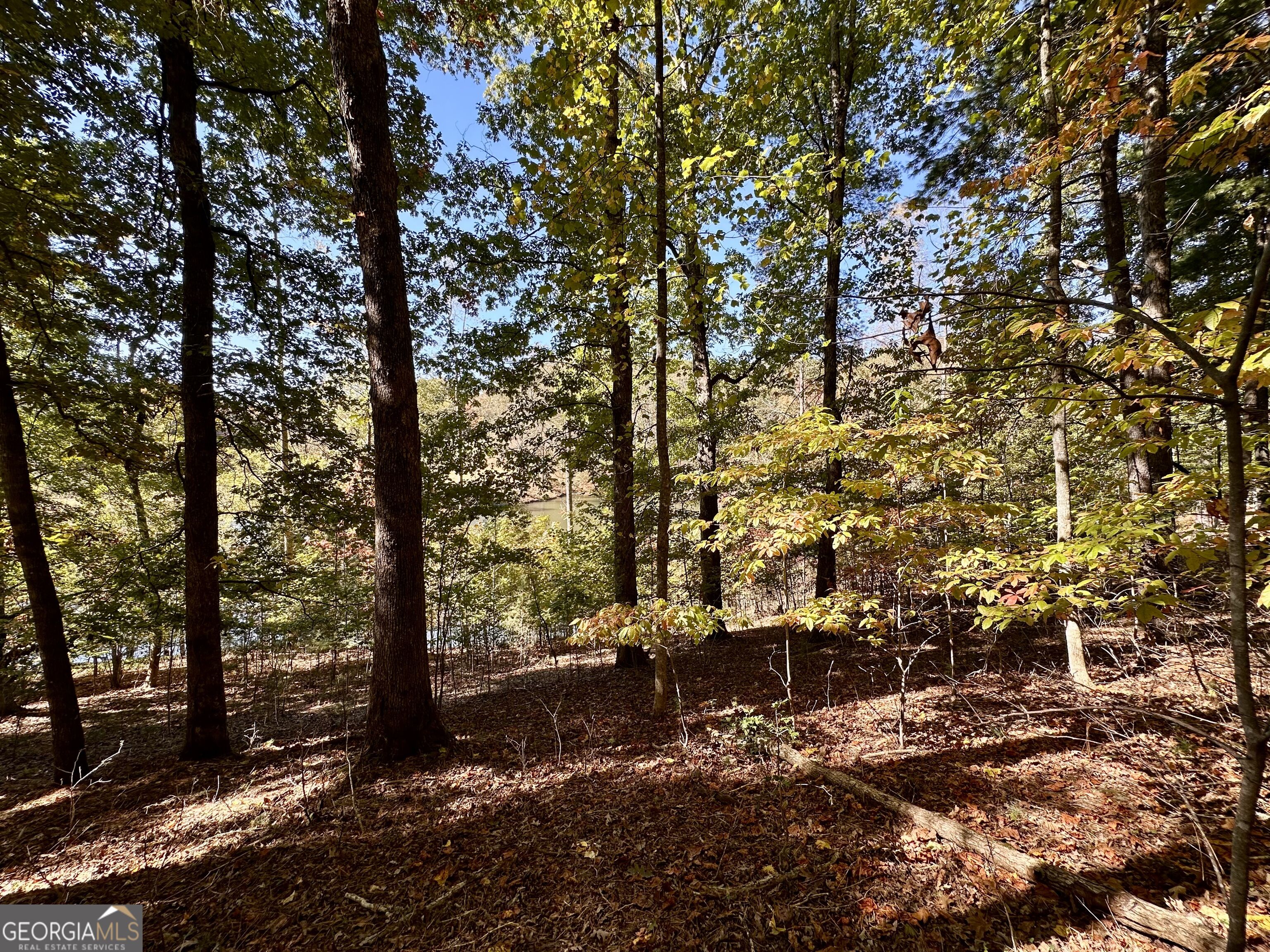 29 Forked Leaf Road Property Photo 9