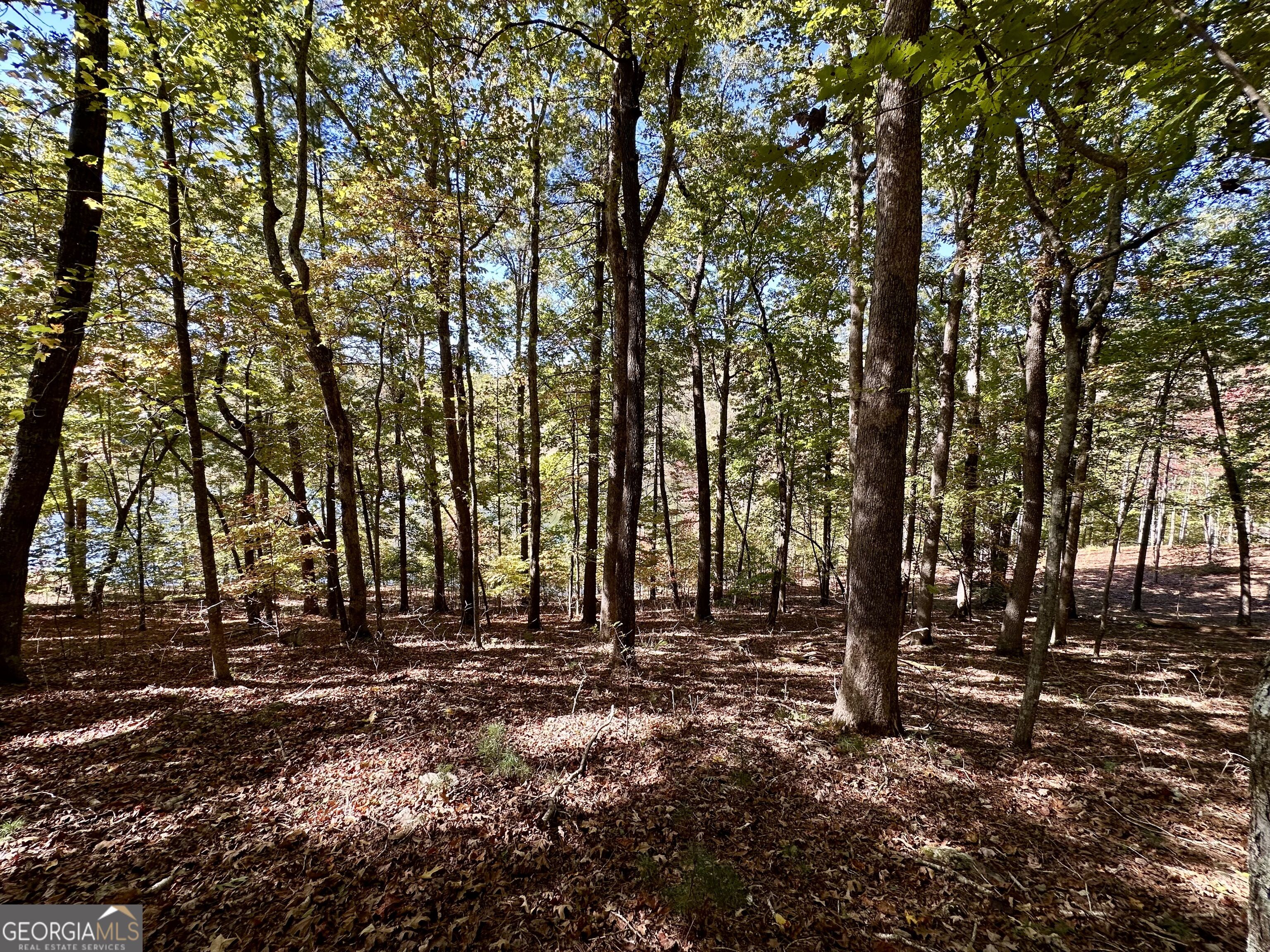 29 Forked Leaf Road Property Photo 10