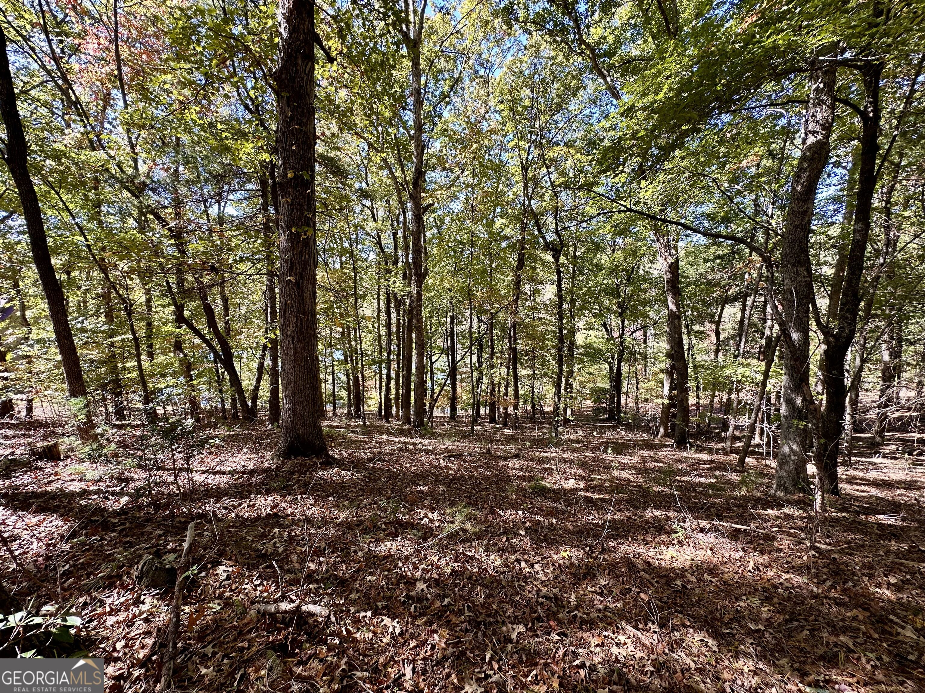 29 Forked Leaf Road Property Photo 11