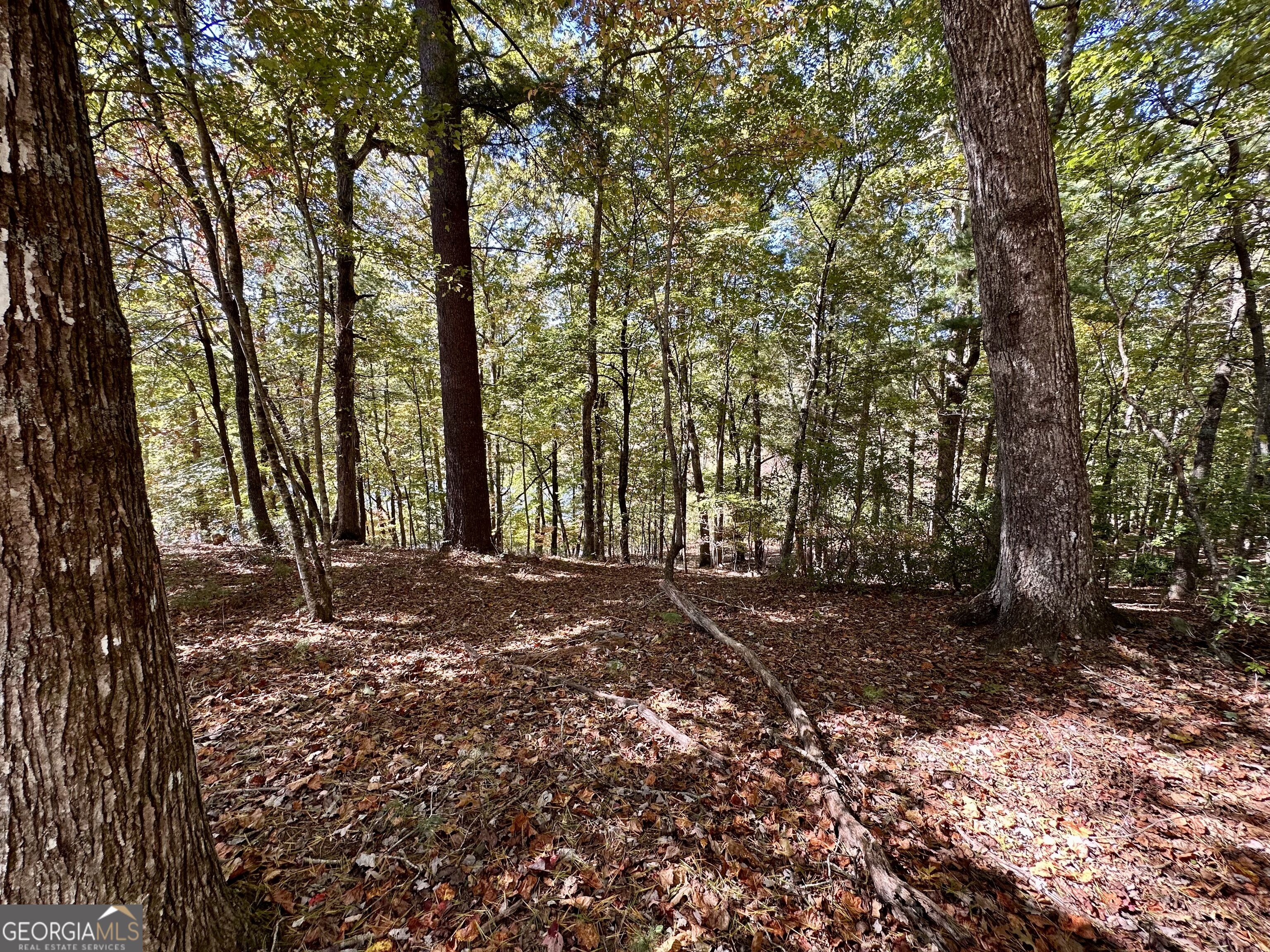 29 Forked Leaf Road Property Photo 12
