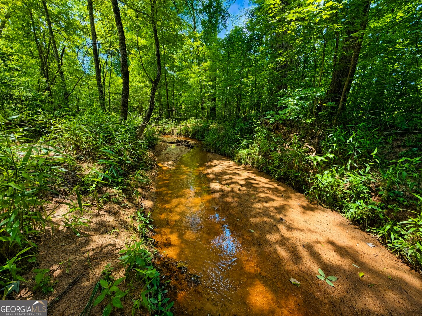 29 Acres Cochran Road Property Photo 1