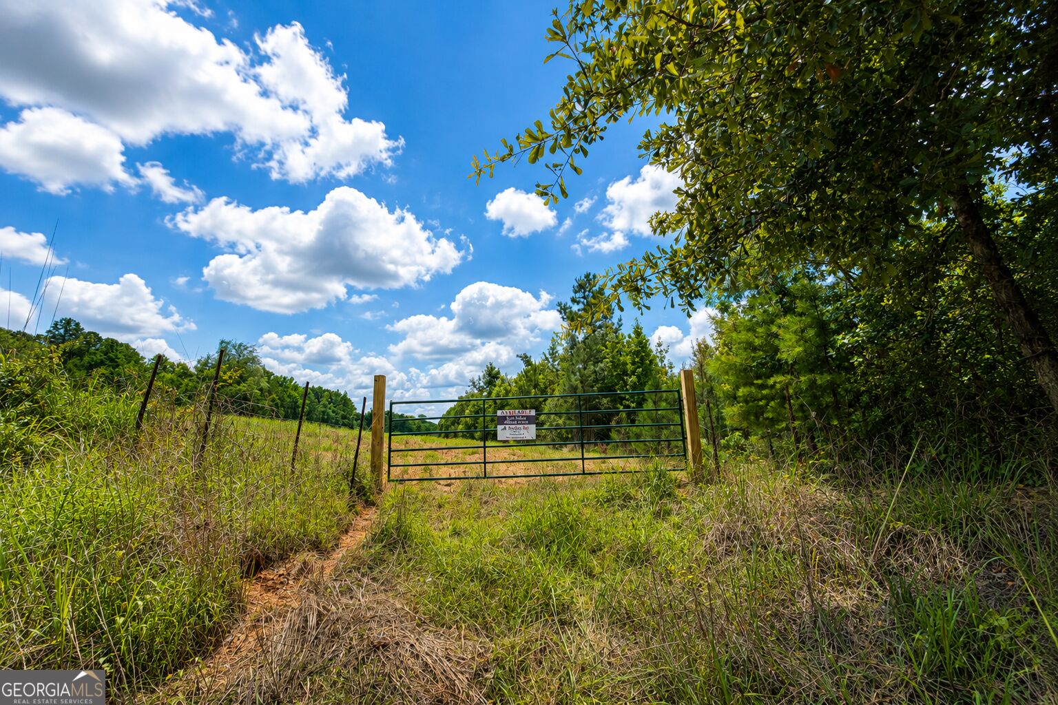 29 Acres Cochran Road Property Photo 7