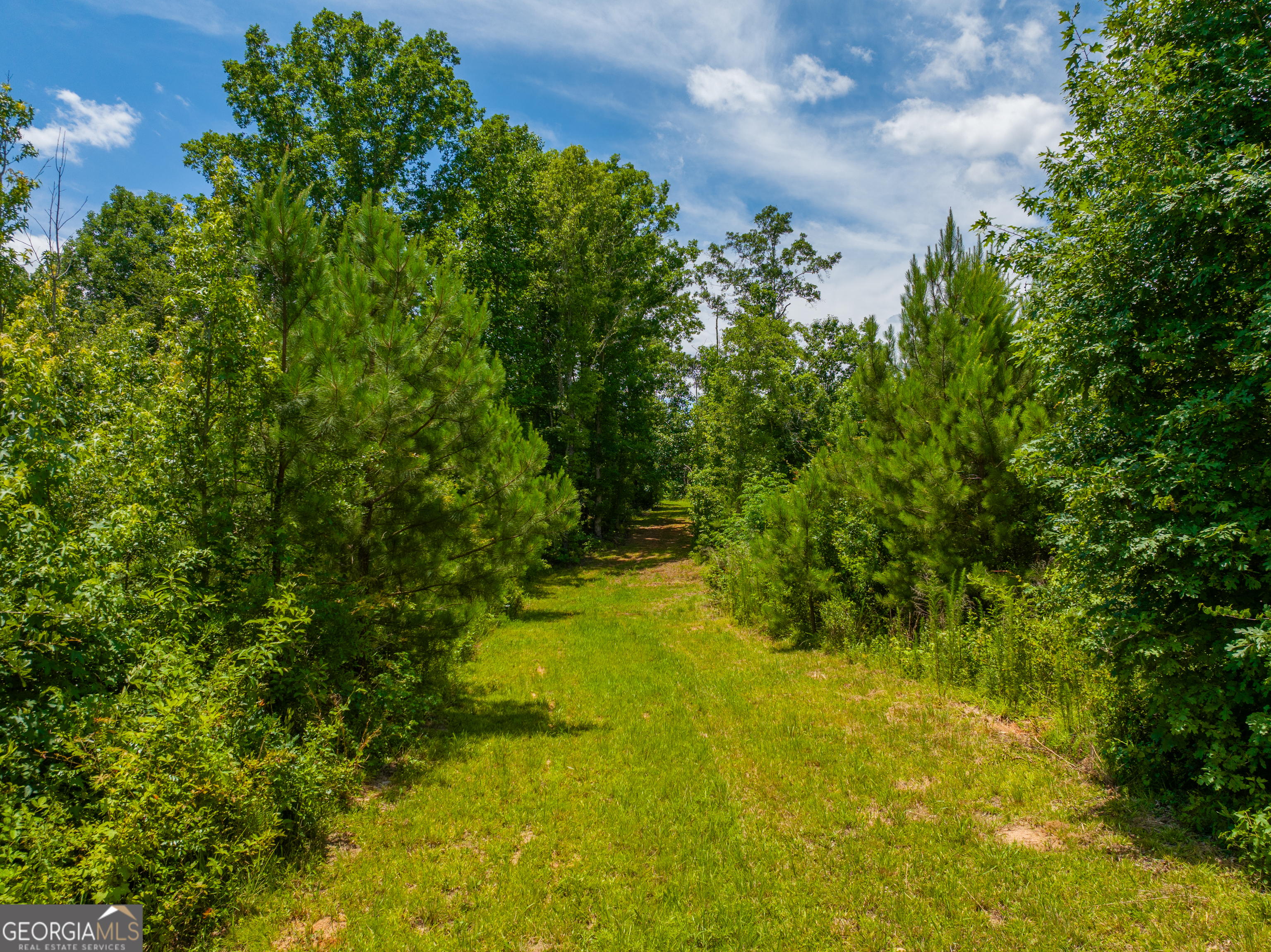 29 Acres Cochran Road Property Photo 8
