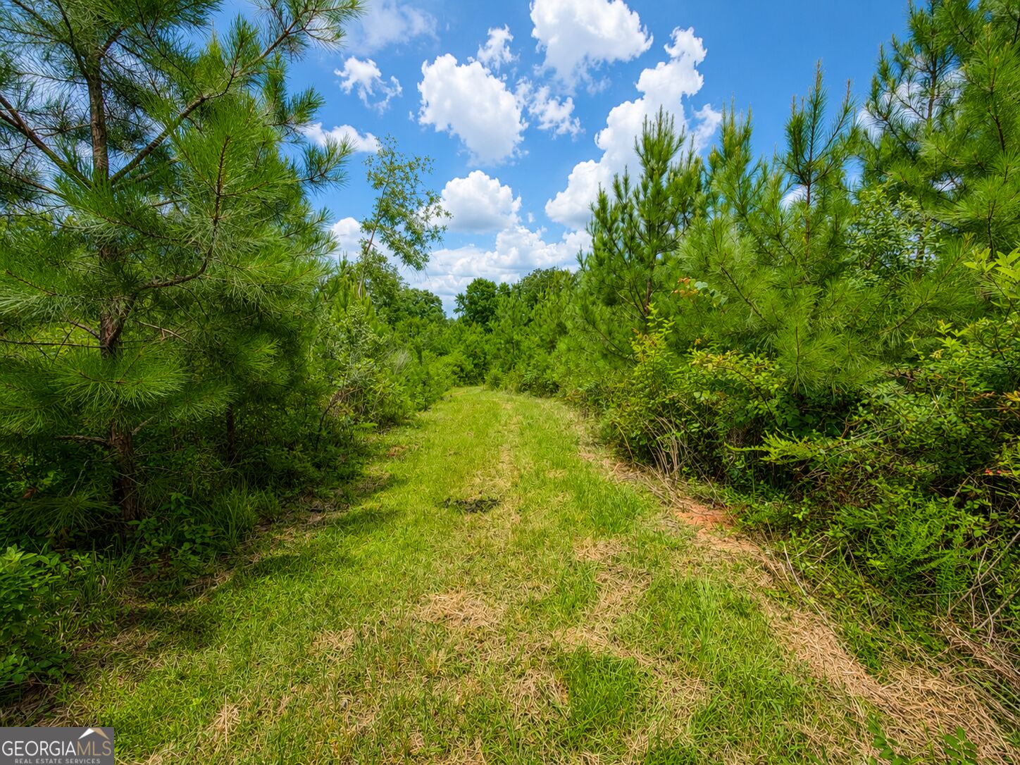 29 Acres Cochran Road Property Photo 9