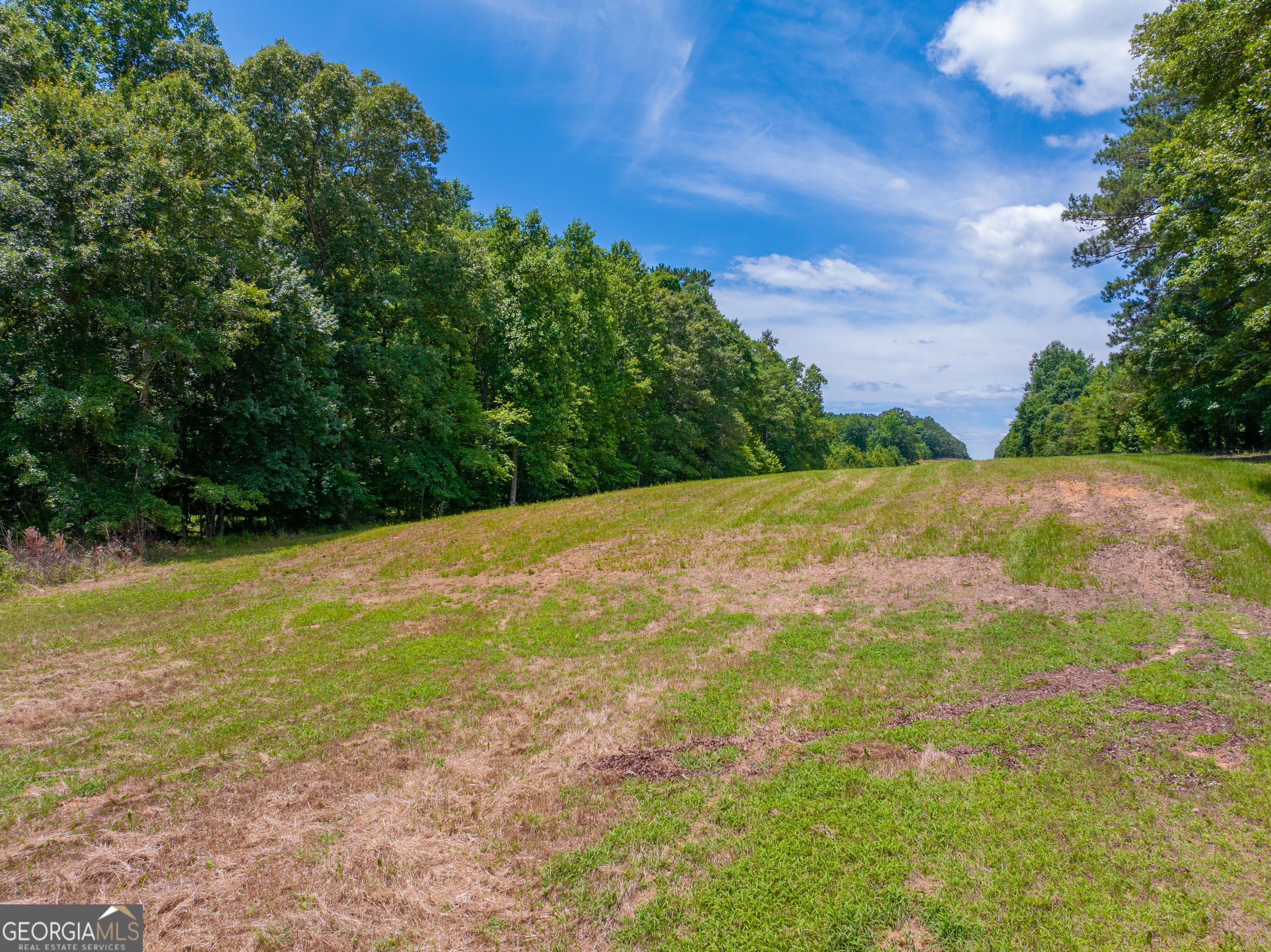 29 Acres Cochran Road Property Photo 10