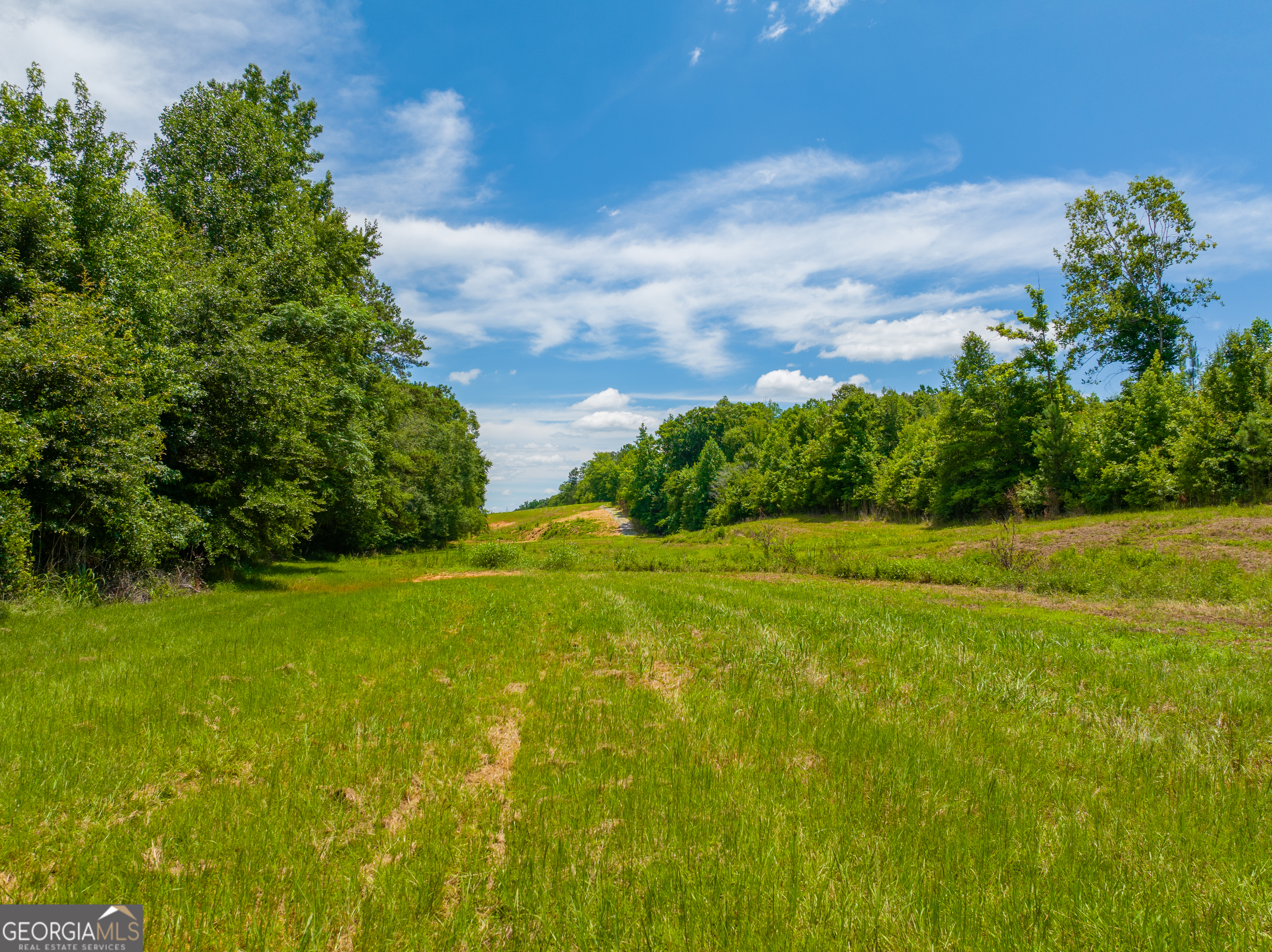 29 Acres Cochran Road Property Photo 11