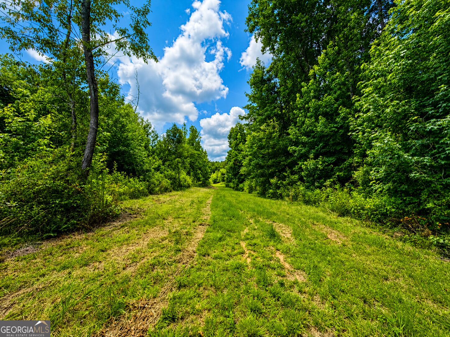 29 Acres Cochran Road Property Photo 12