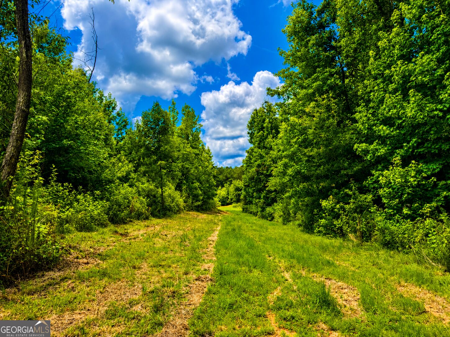 29 Acres Cochran Road Property Photo 13