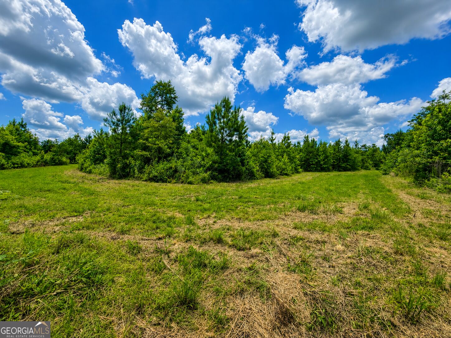 29 Acres Cochran Road Property Photo 14