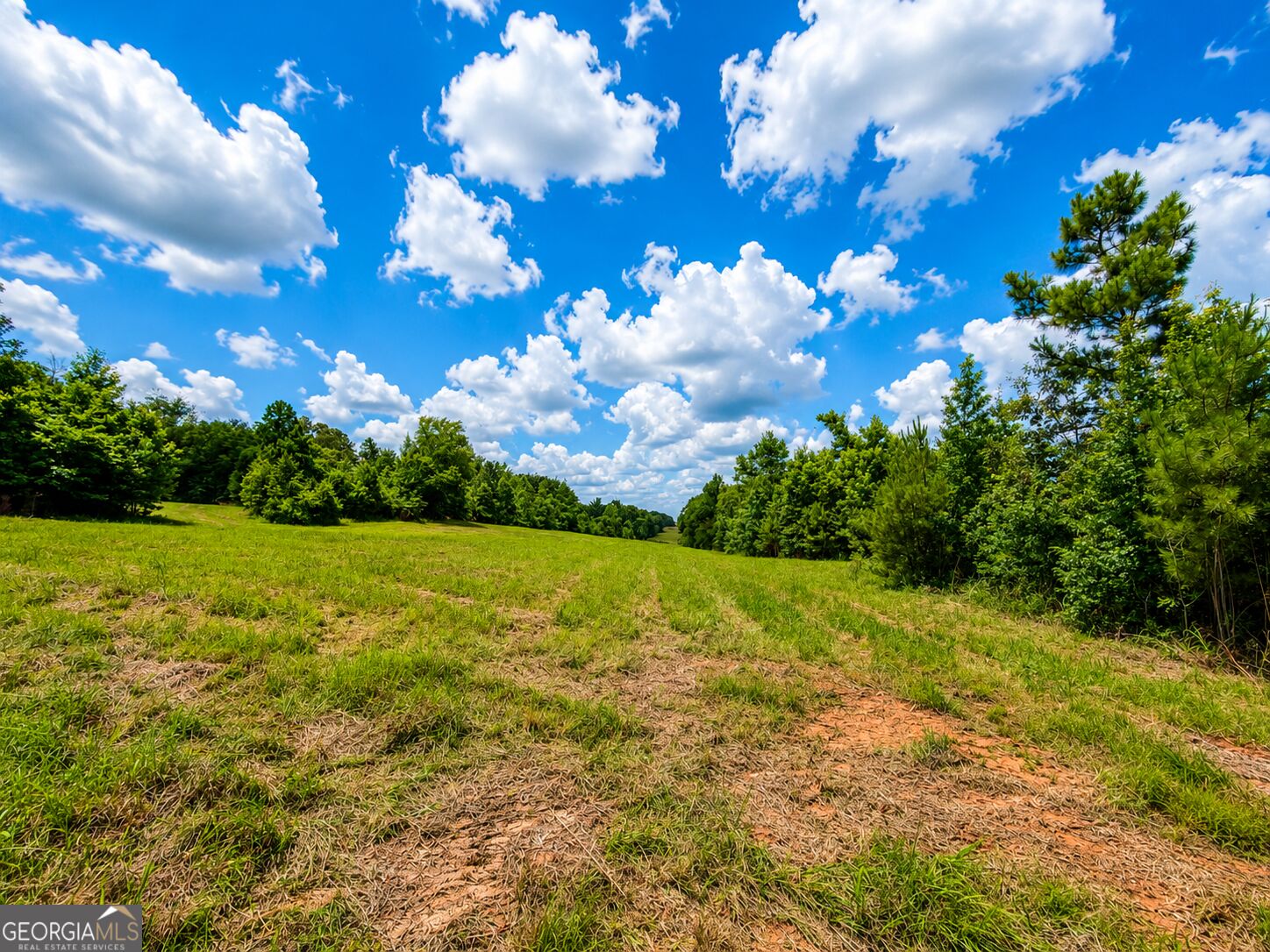 29 Acres Cochran Road Property Photo 16