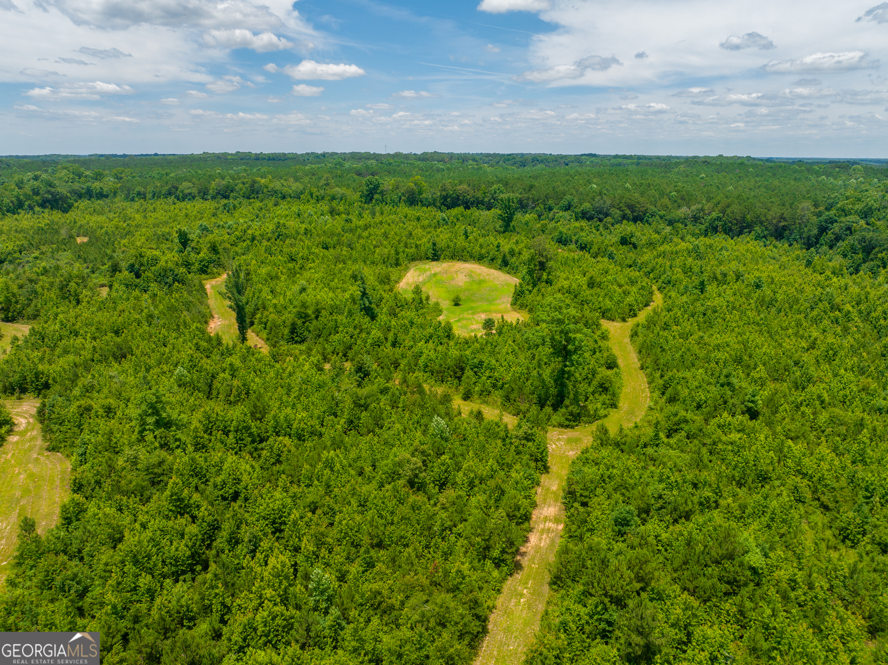 29 Acres Cochran Road Property Photo 19
