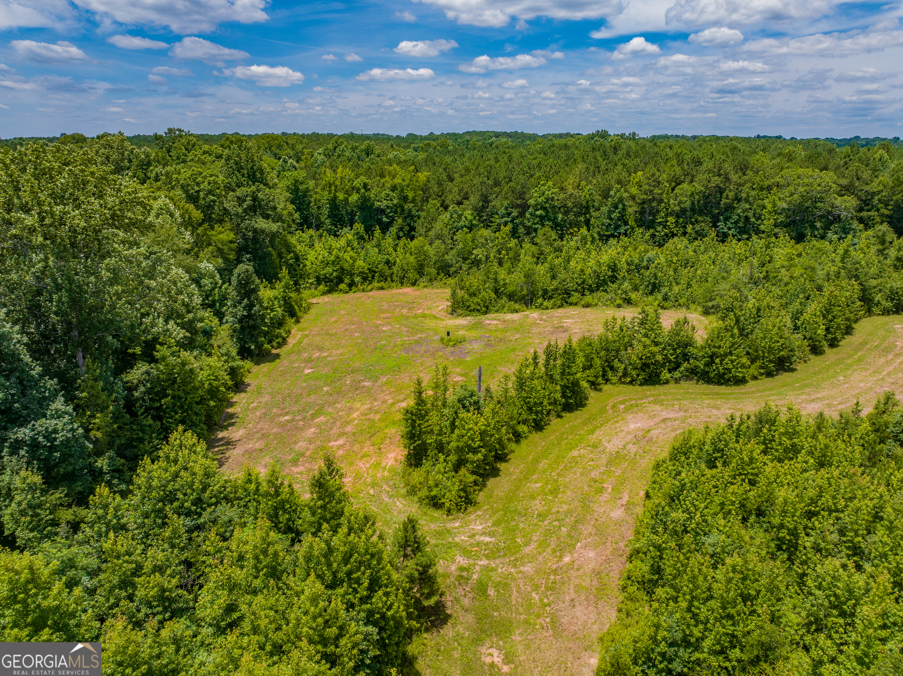 29 Acres Cochran Road Property Photo 20