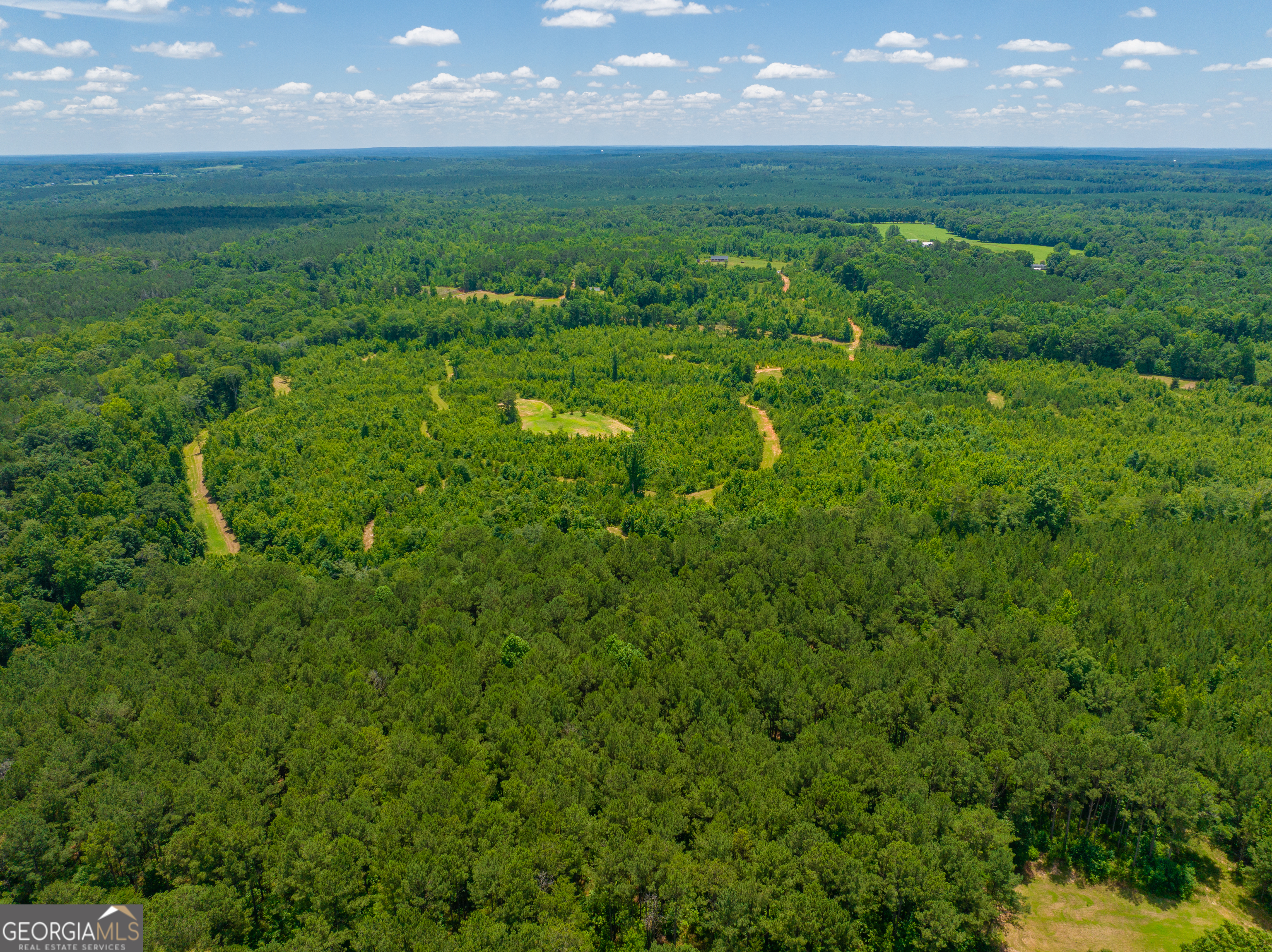 29 Acres Cochran Road Property Photo 21