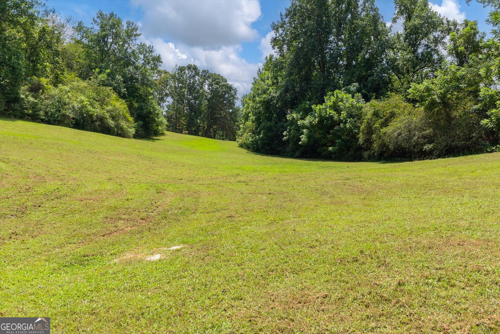 3715 Ga Highway 219 Property Photo 46