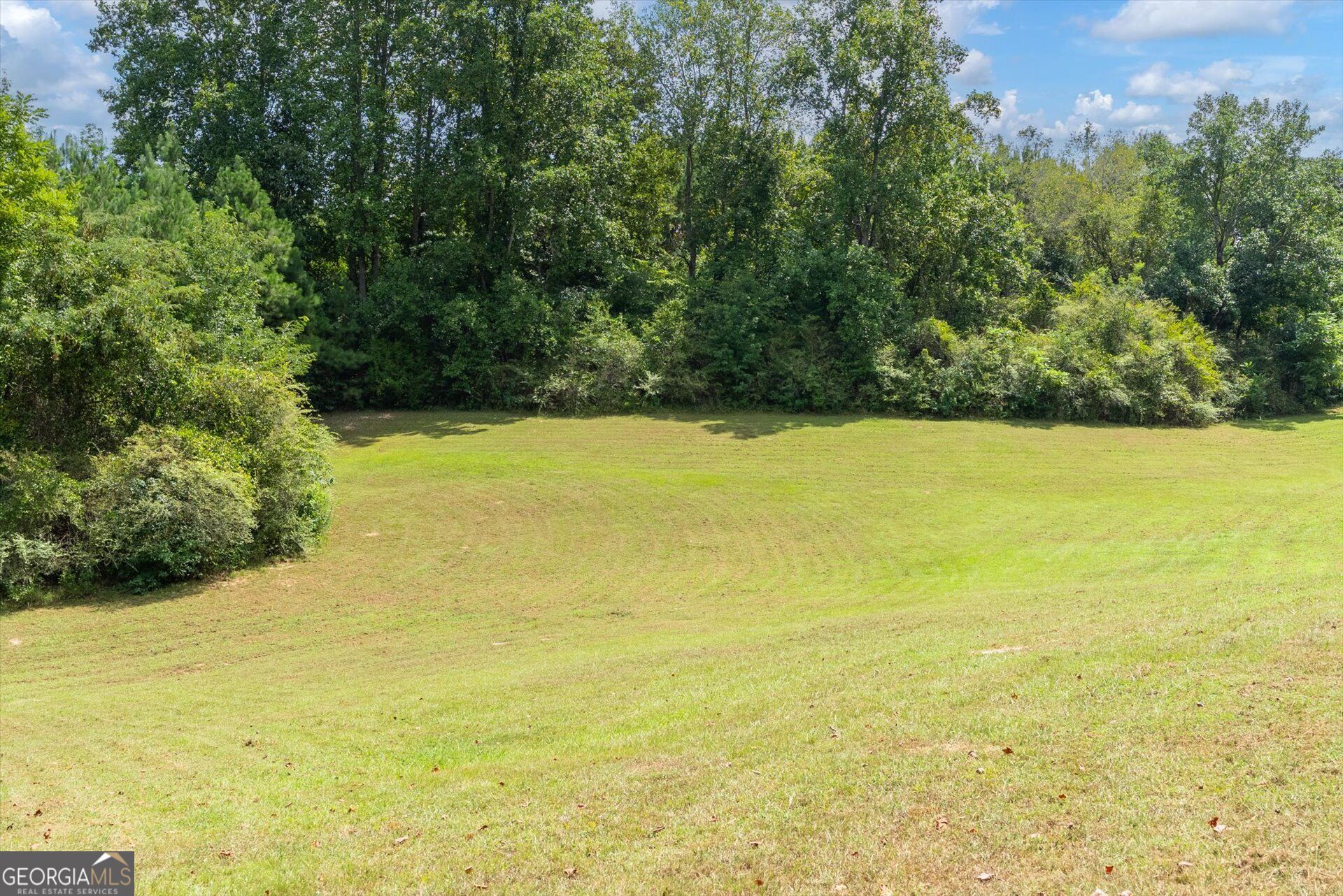3715 Ga Highway 219 Property Photo 47
