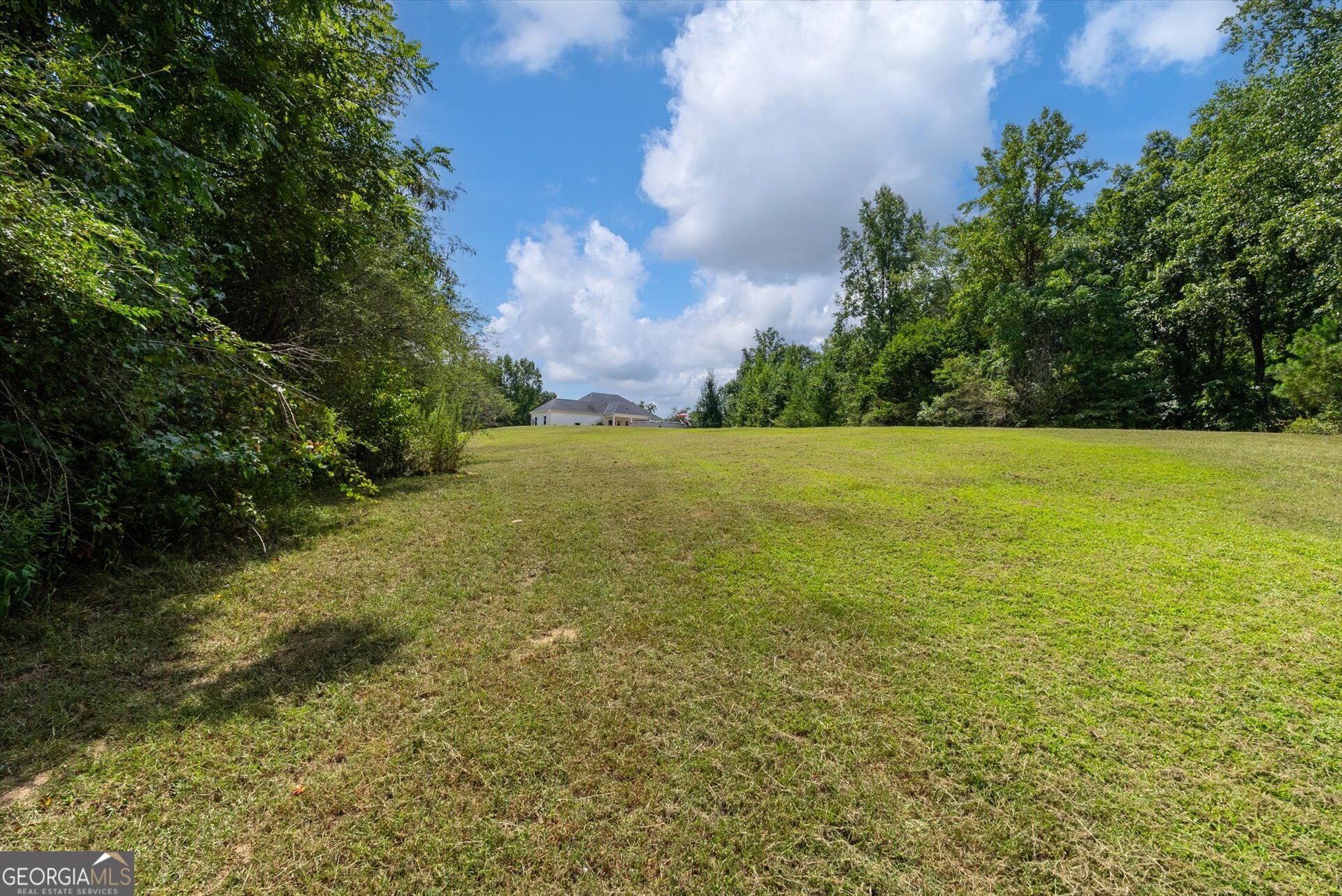 3715 Ga Highway 219 Property Photo 48
