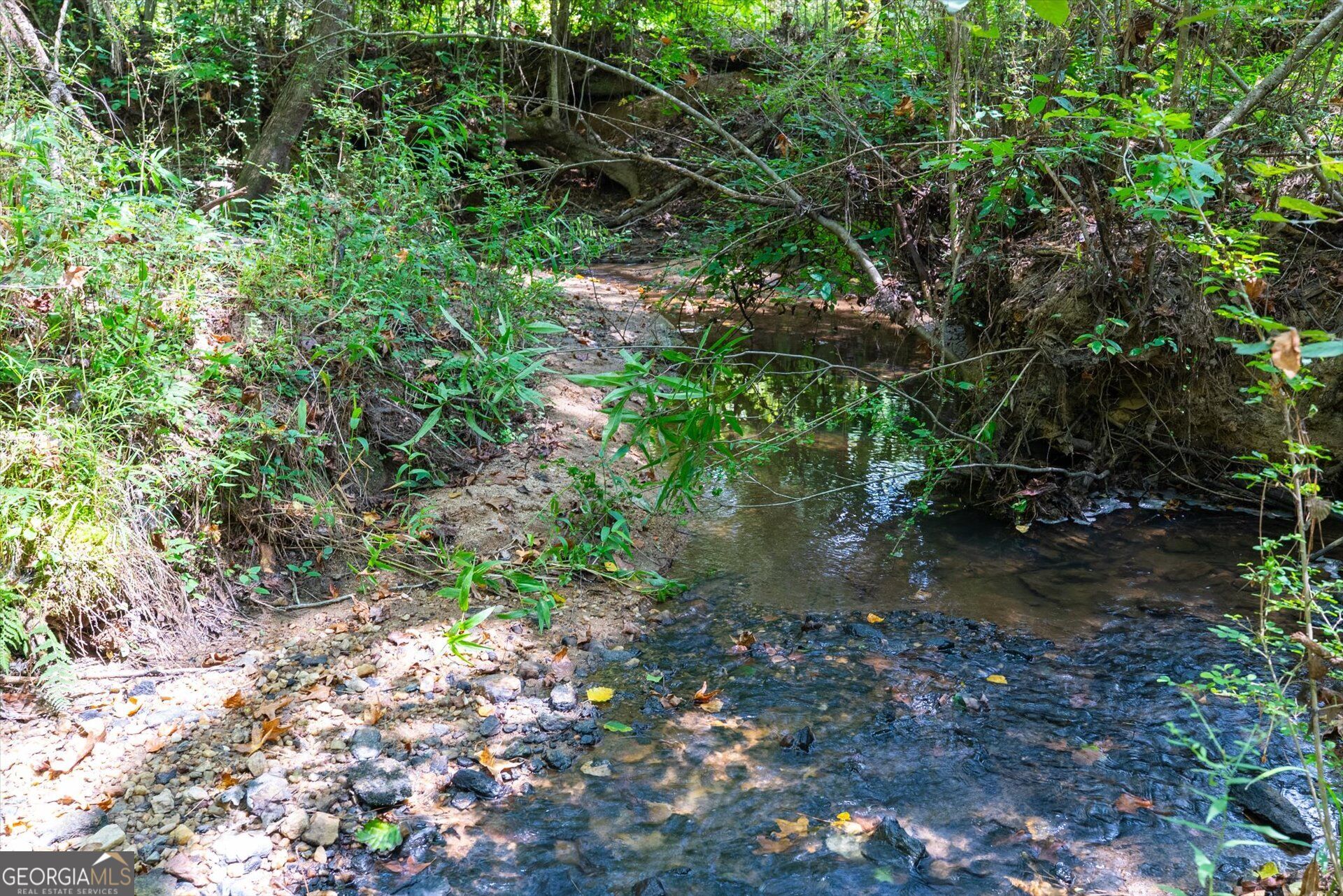 3715 Ga Highway 219 Property Photo 49
