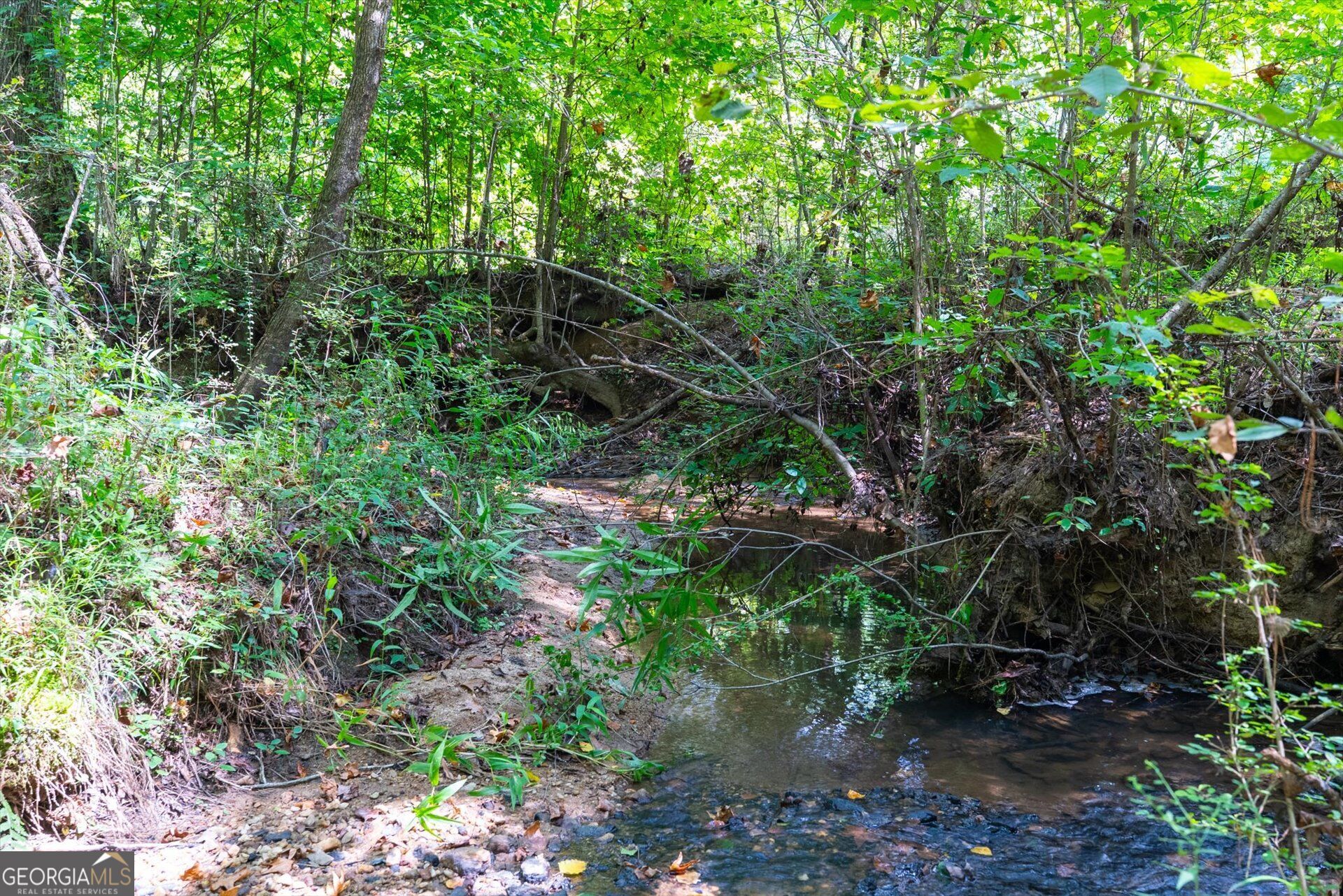 3715 Ga Highway 219 Property Photo 51