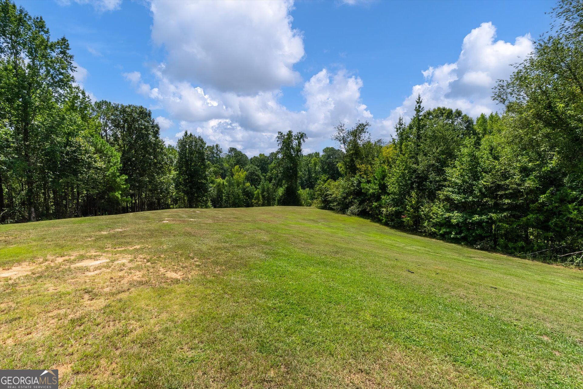 3715 Ga Highway 219 Property Photo 52