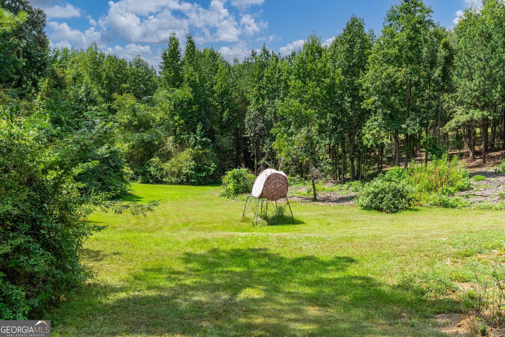 3715 Ga Highway 219 Property Photo 53