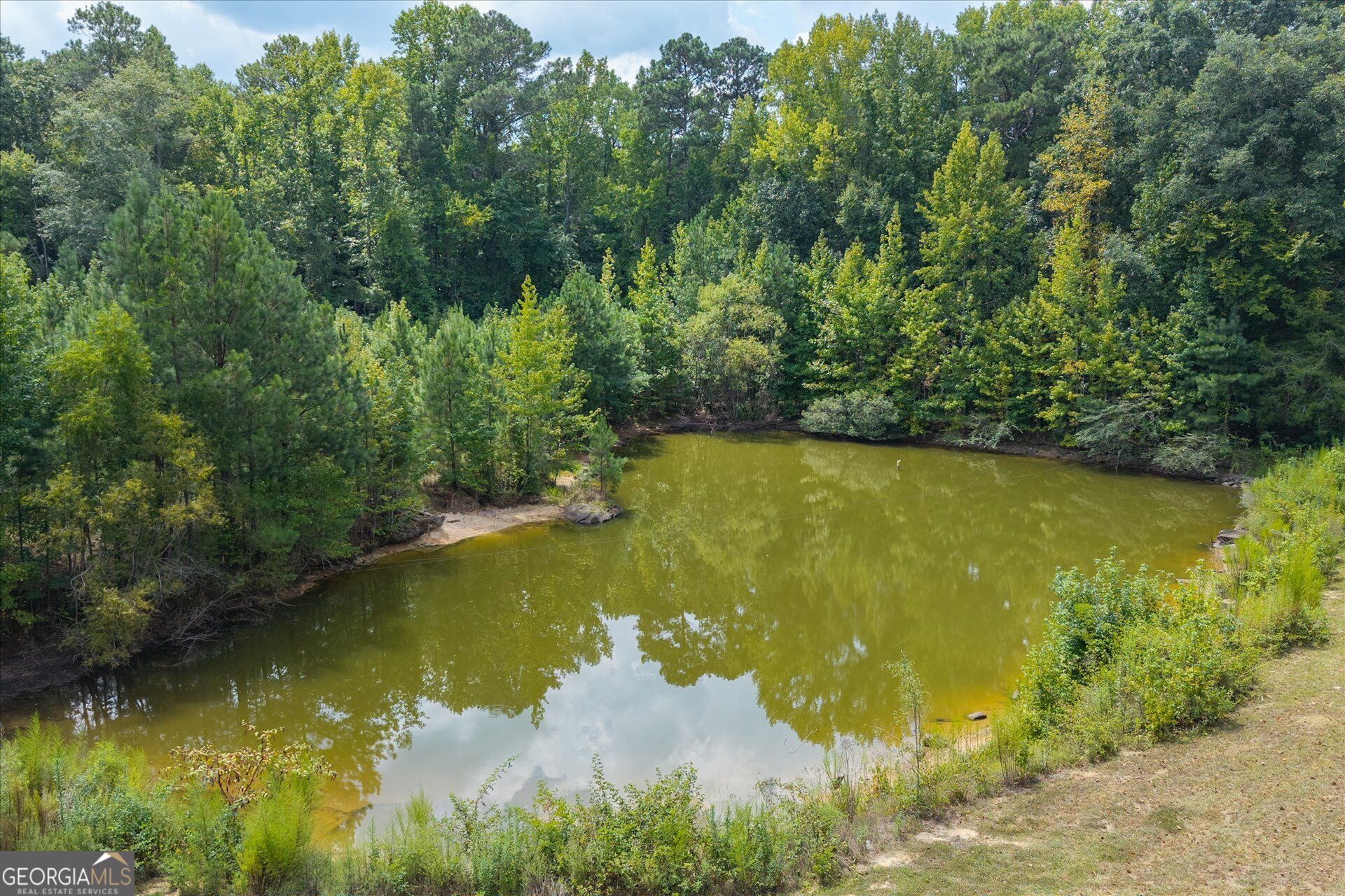 3715 Ga Highway 219 Property Photo 54