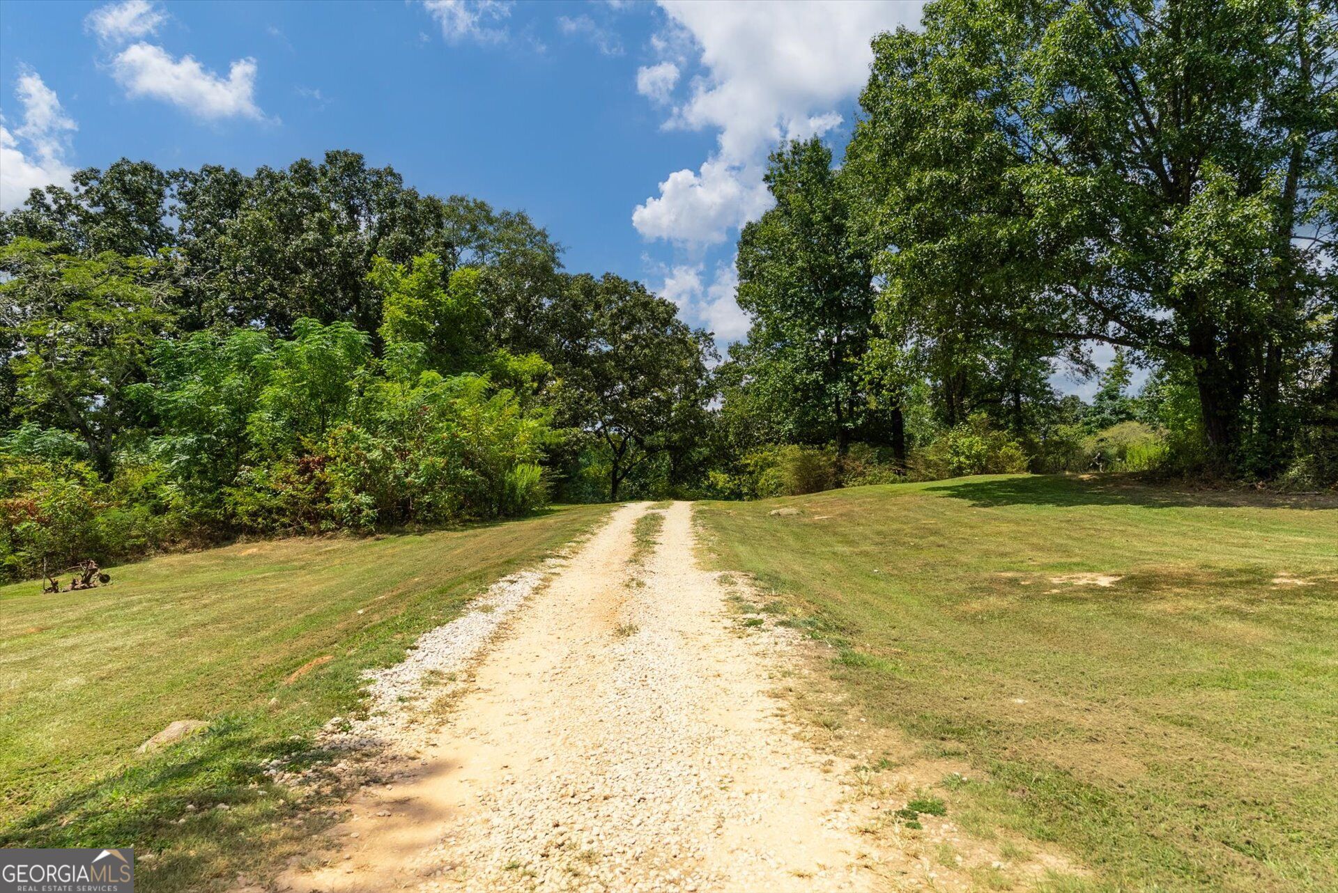 3715 Ga Highway 219 Property Photo 56