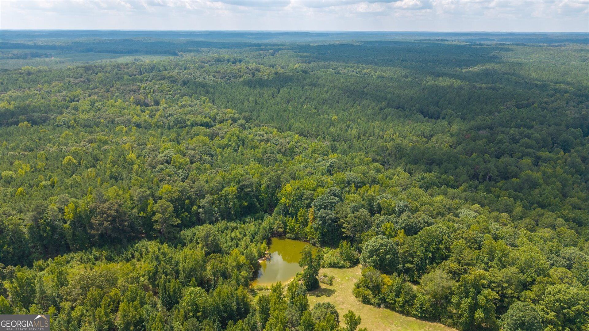 3715 Ga Highway 219 Property Photo 61