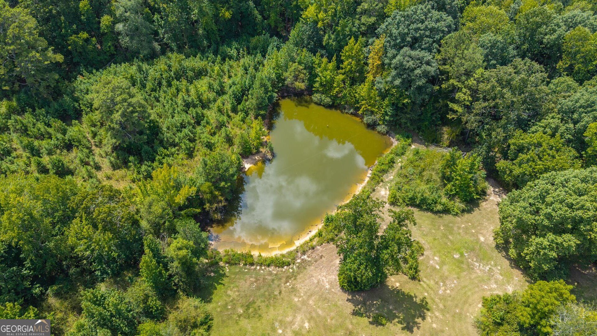 3715 Ga Highway 219 Property Photo 62