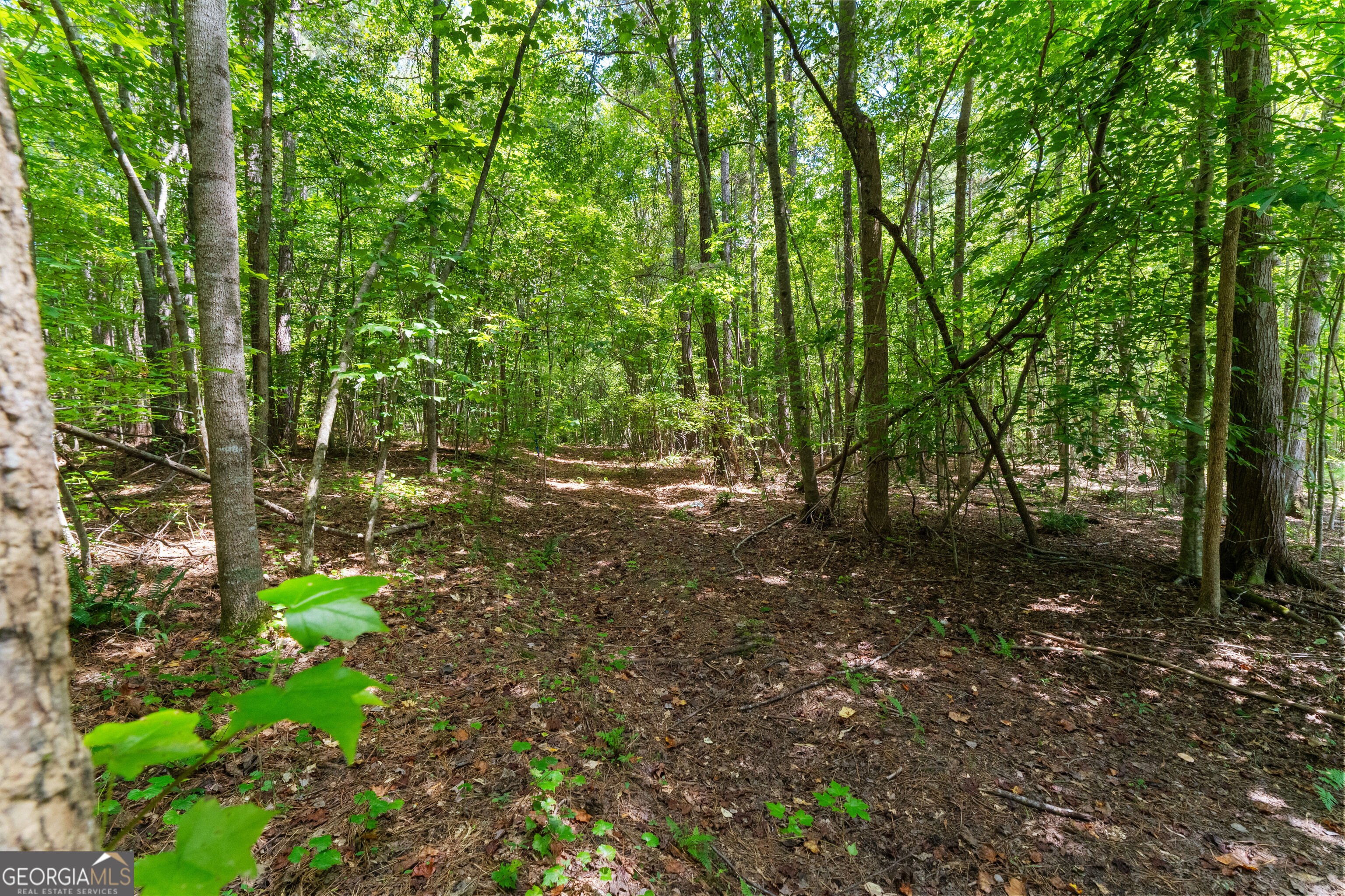 120 Styles Lake Road Property Photo 29