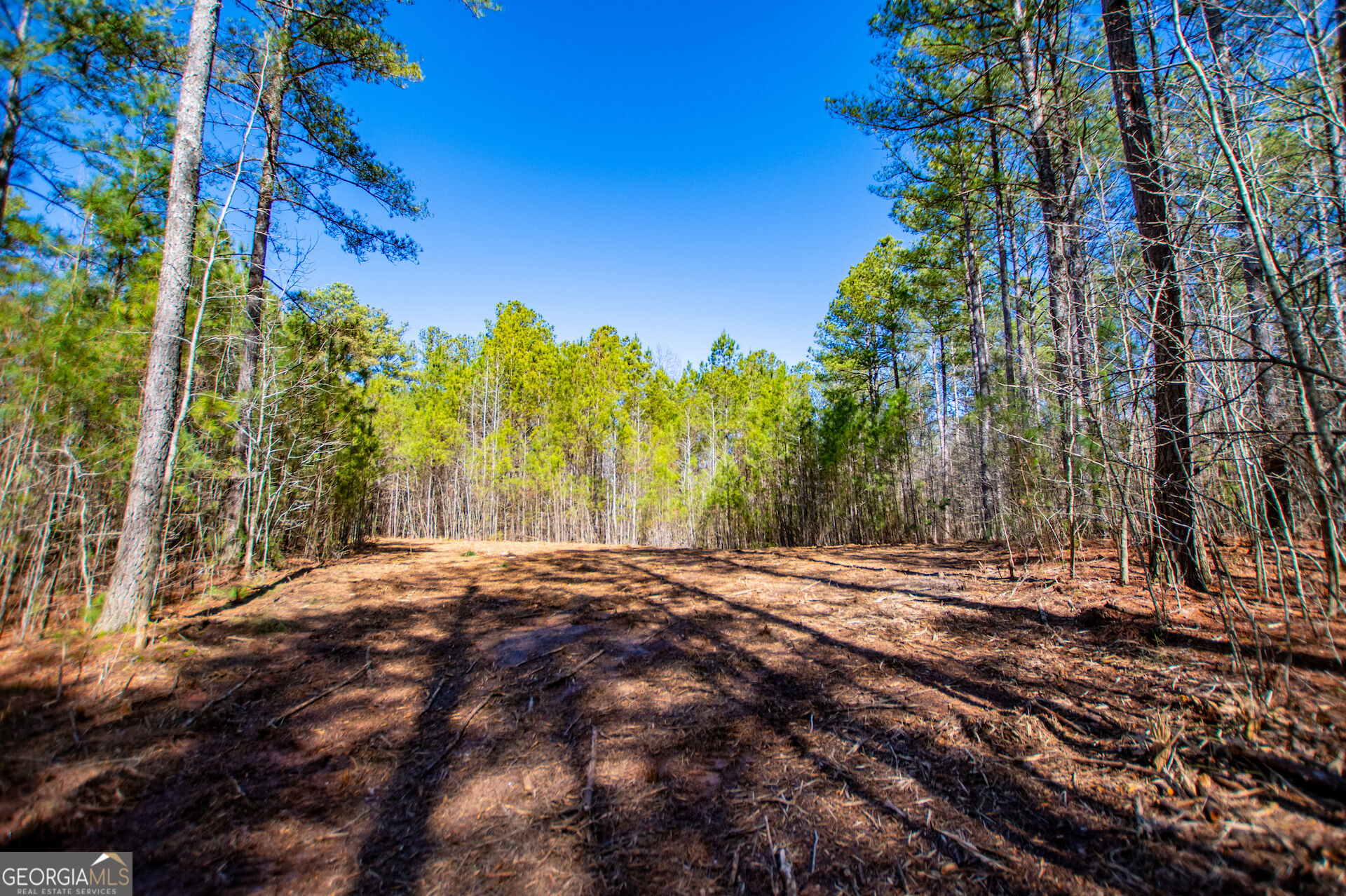 0 Hwy 166 E - 21+ Acres E Property Photo 6