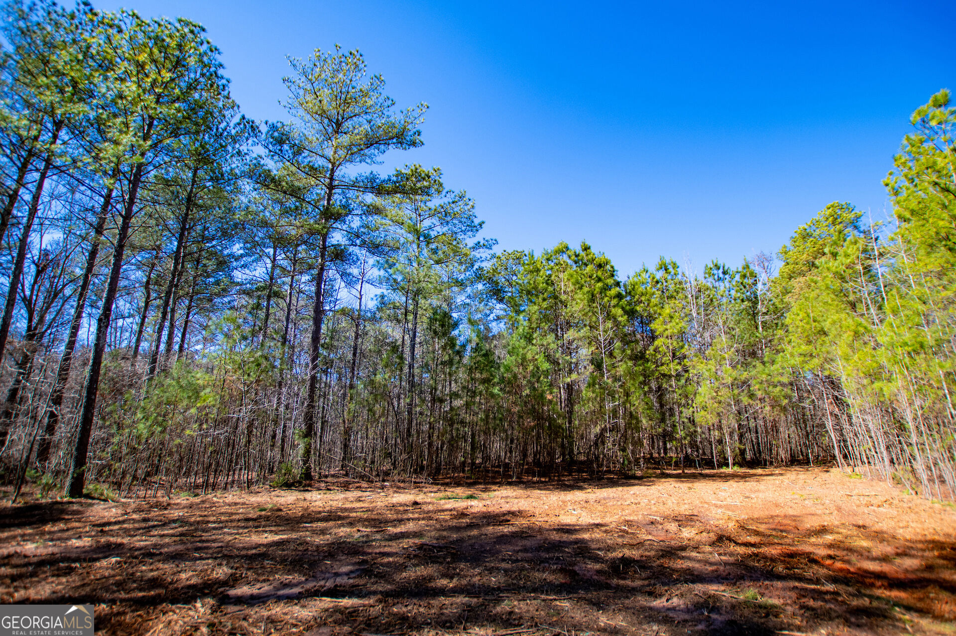 0 Hwy 166 E - 21+ Acres E Property Photo 7