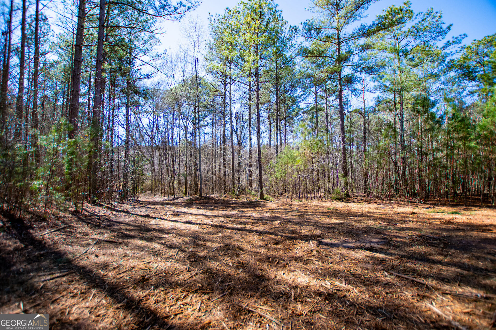 0 Hwy 166 E - 21+ Acres E Property Photo 9