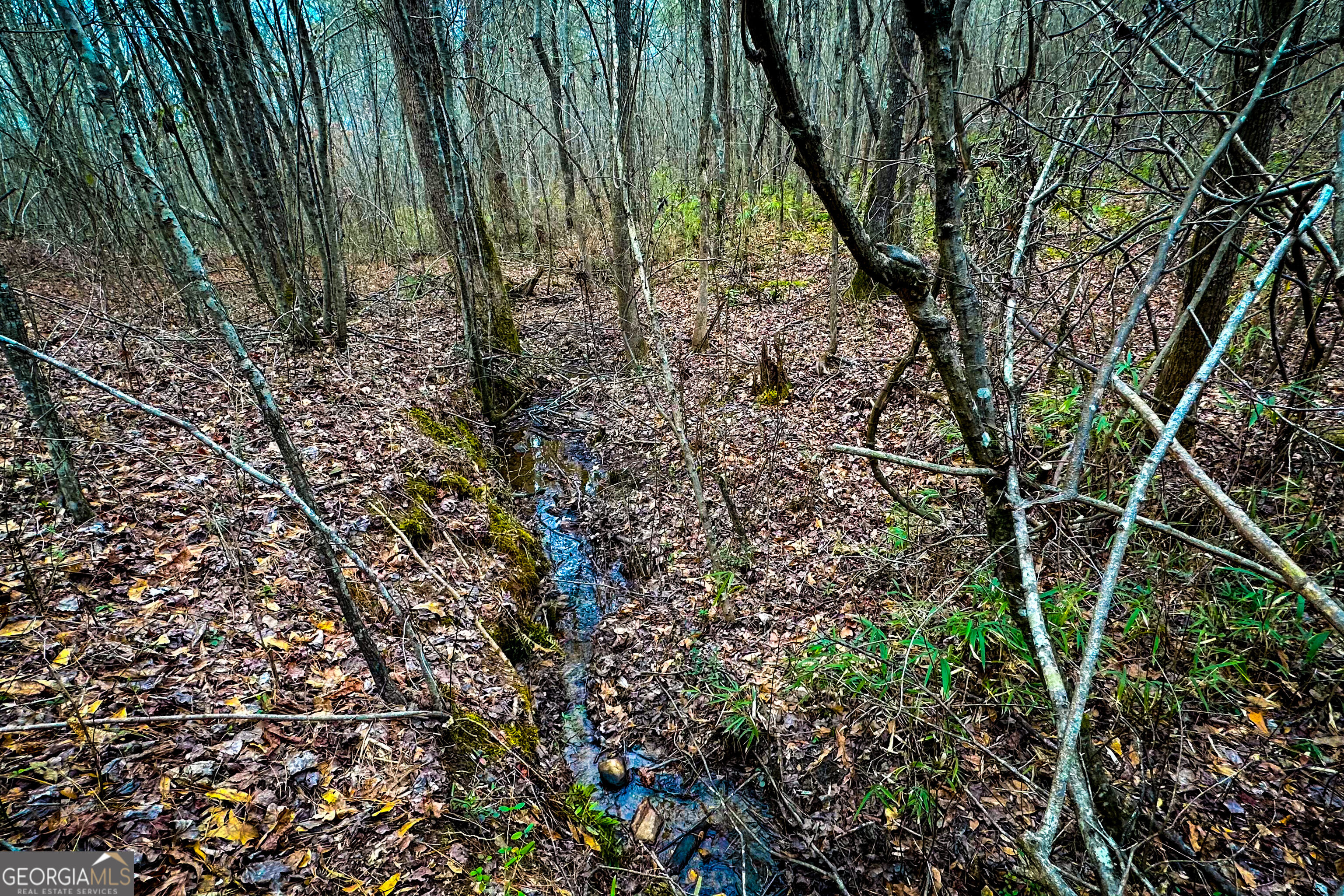 0 Hwy 166 E - 21+ Acres E Property Photo 16