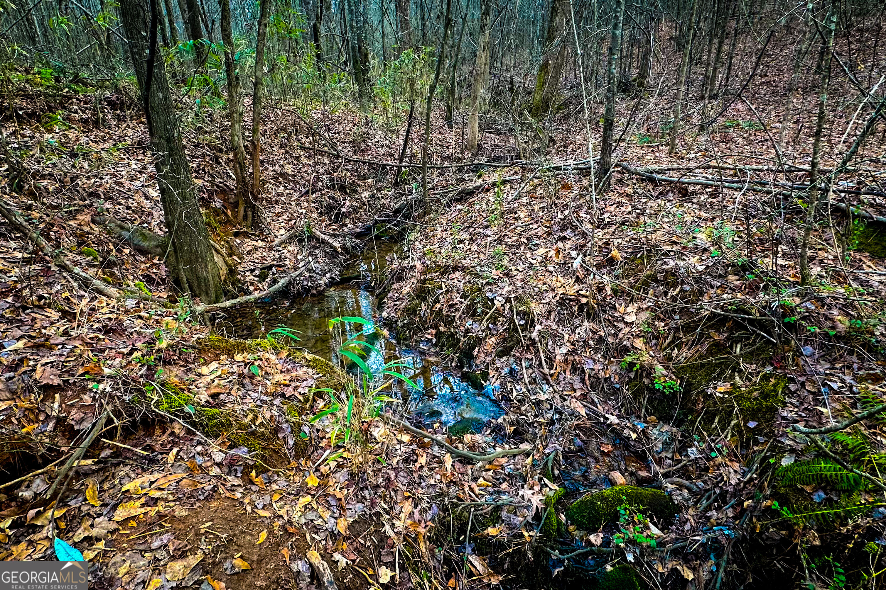 0 Hwy 166 E - 21+ Acres E Property Photo 18