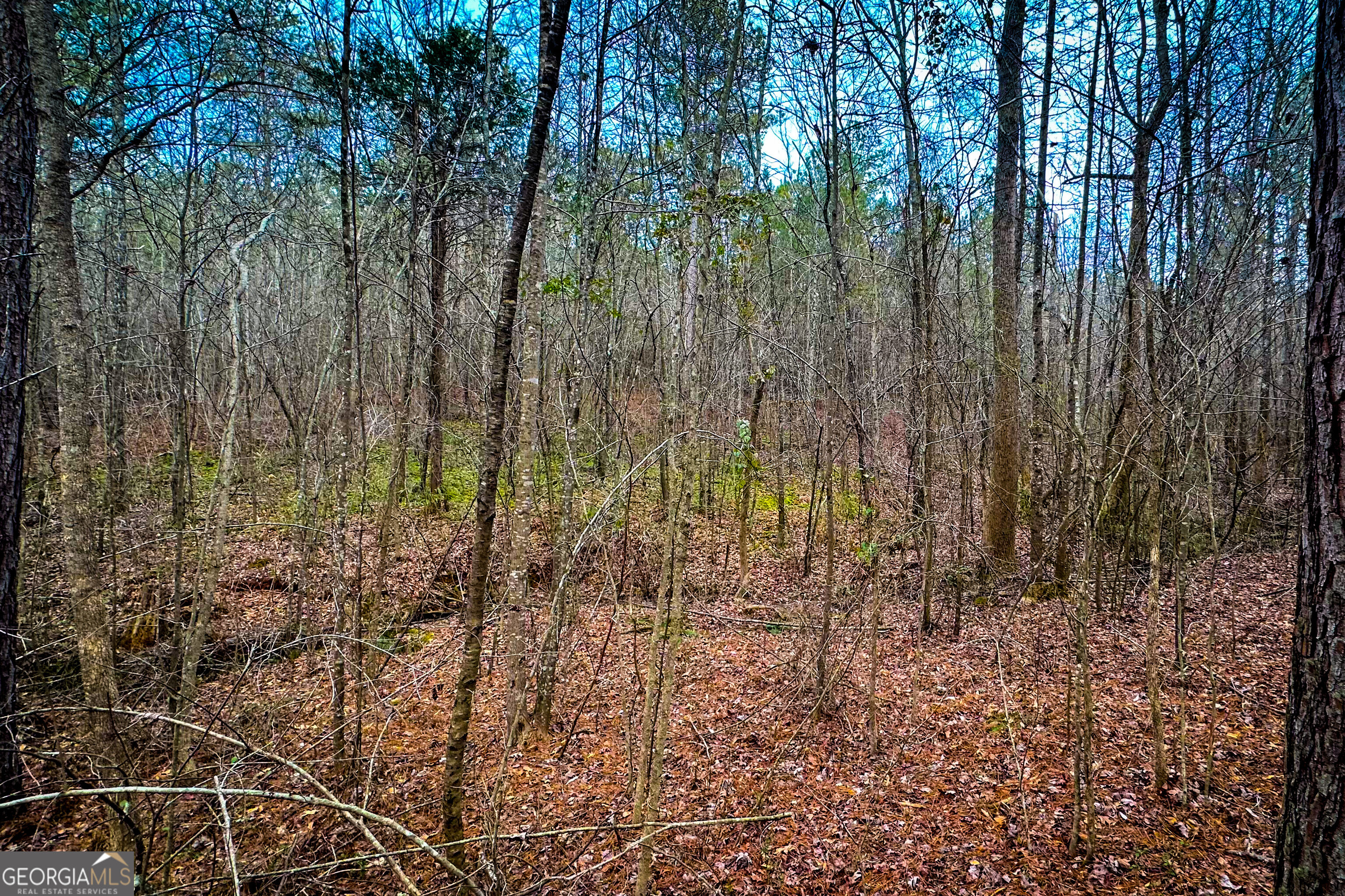 0 Hwy 166 E - 21+ Acres E Property Photo 20