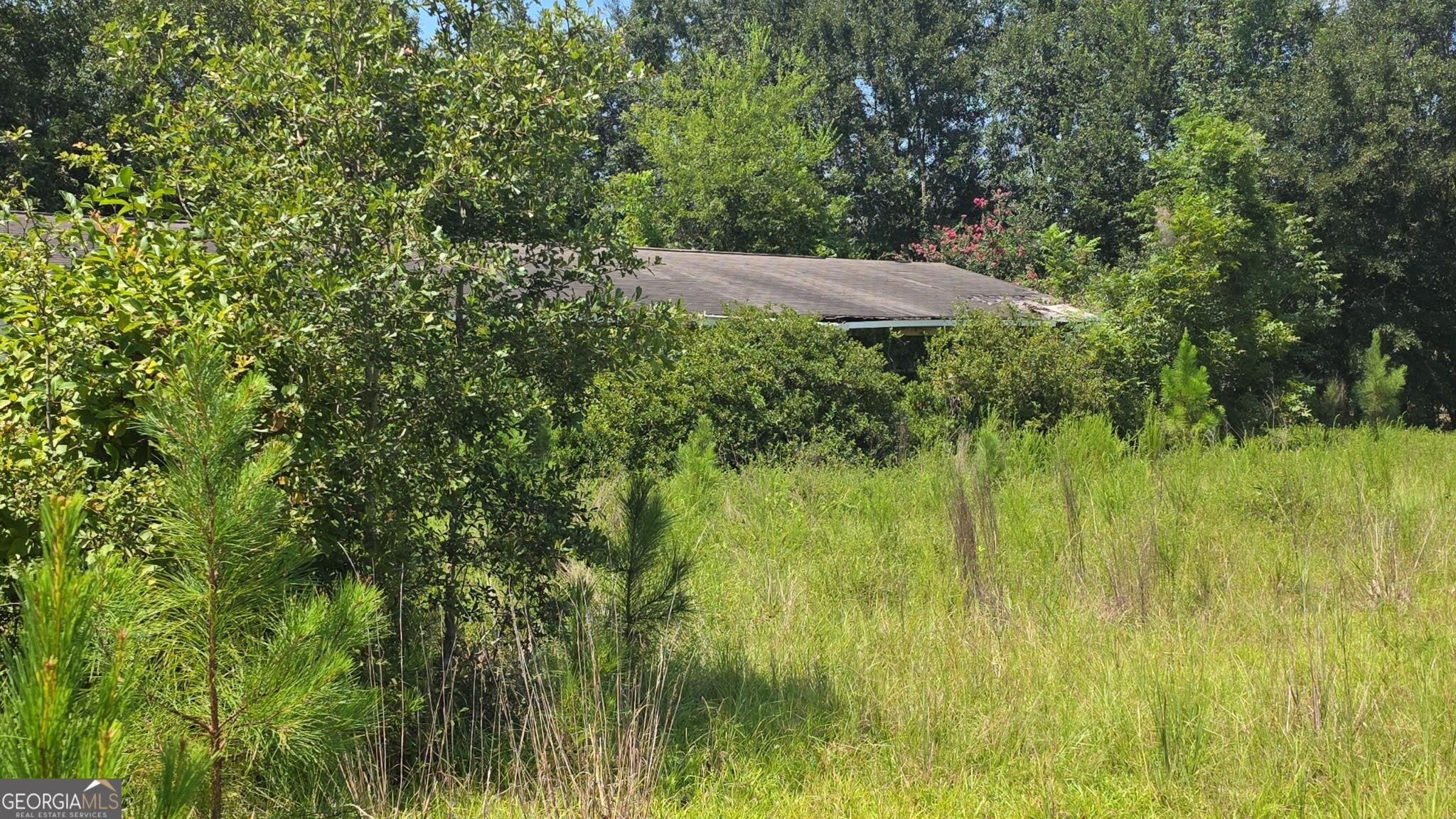 159 Grimsley Road