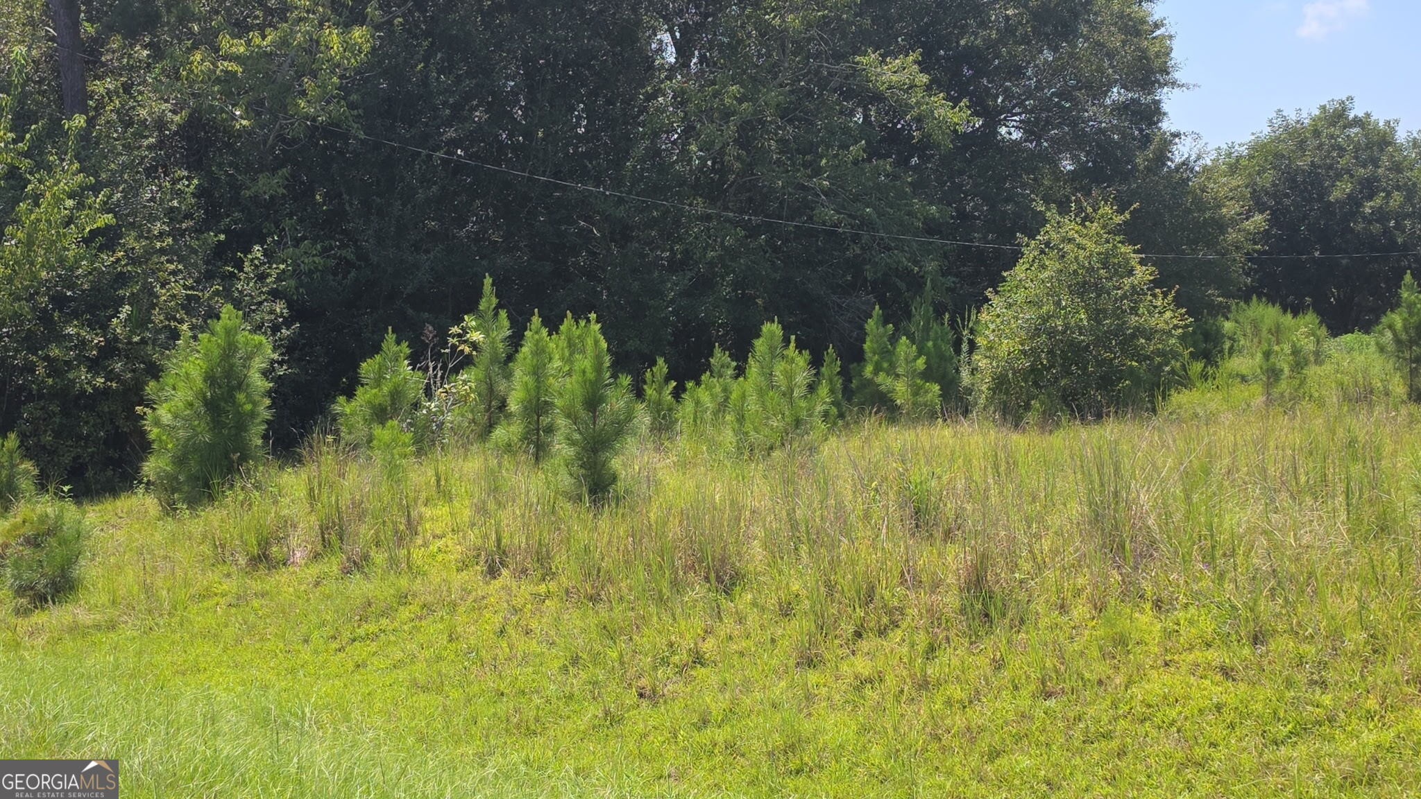 159 Grimsley Road Property Photo 3