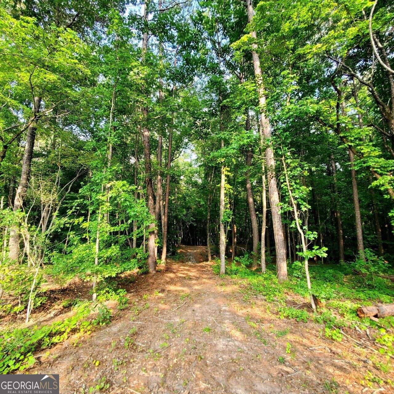 259 Hawks Trail Property Photo 53