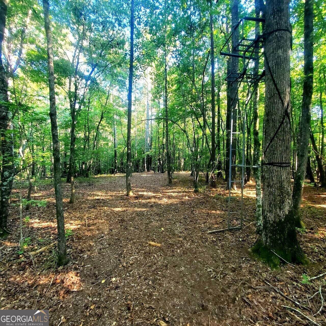259 Hawks Trail Property Photo 54