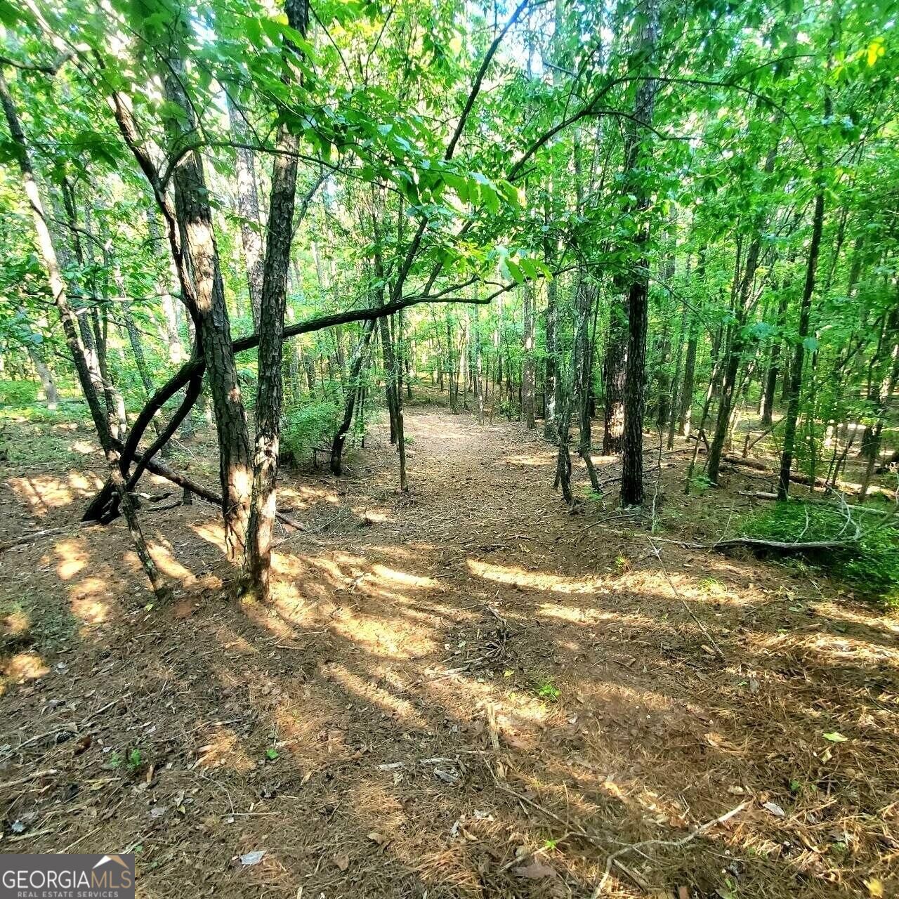 259 Hawks Trail Property Photo 55