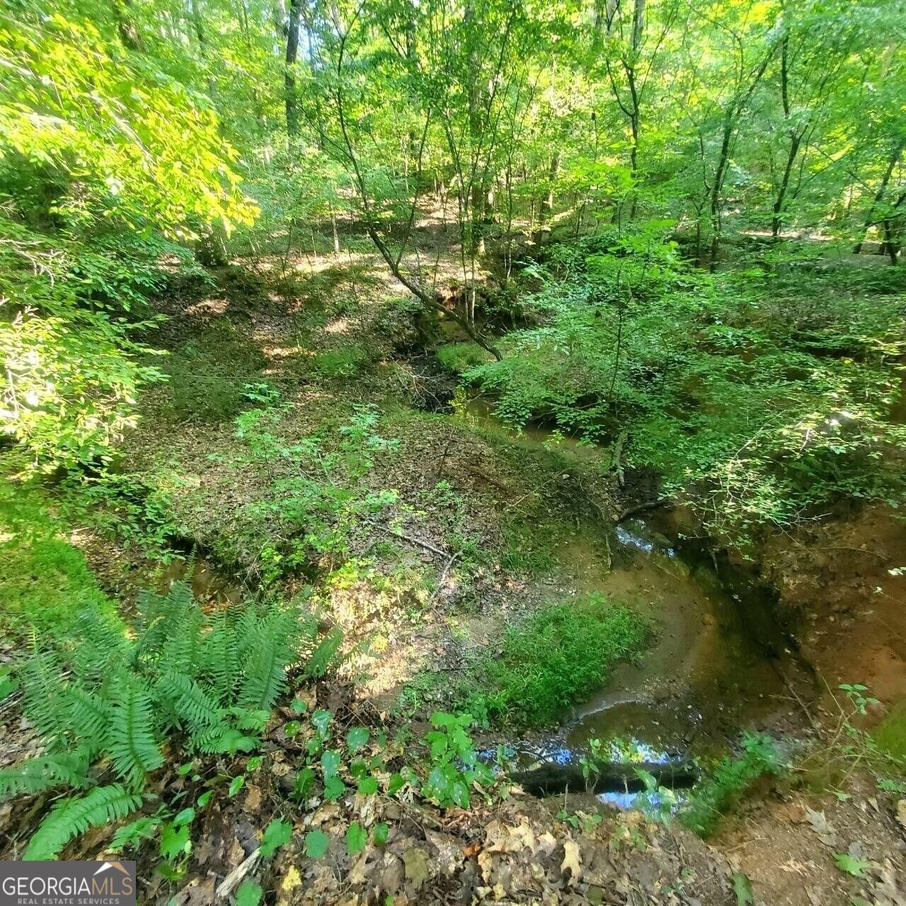 259 Hawks Trail Property Photo 56