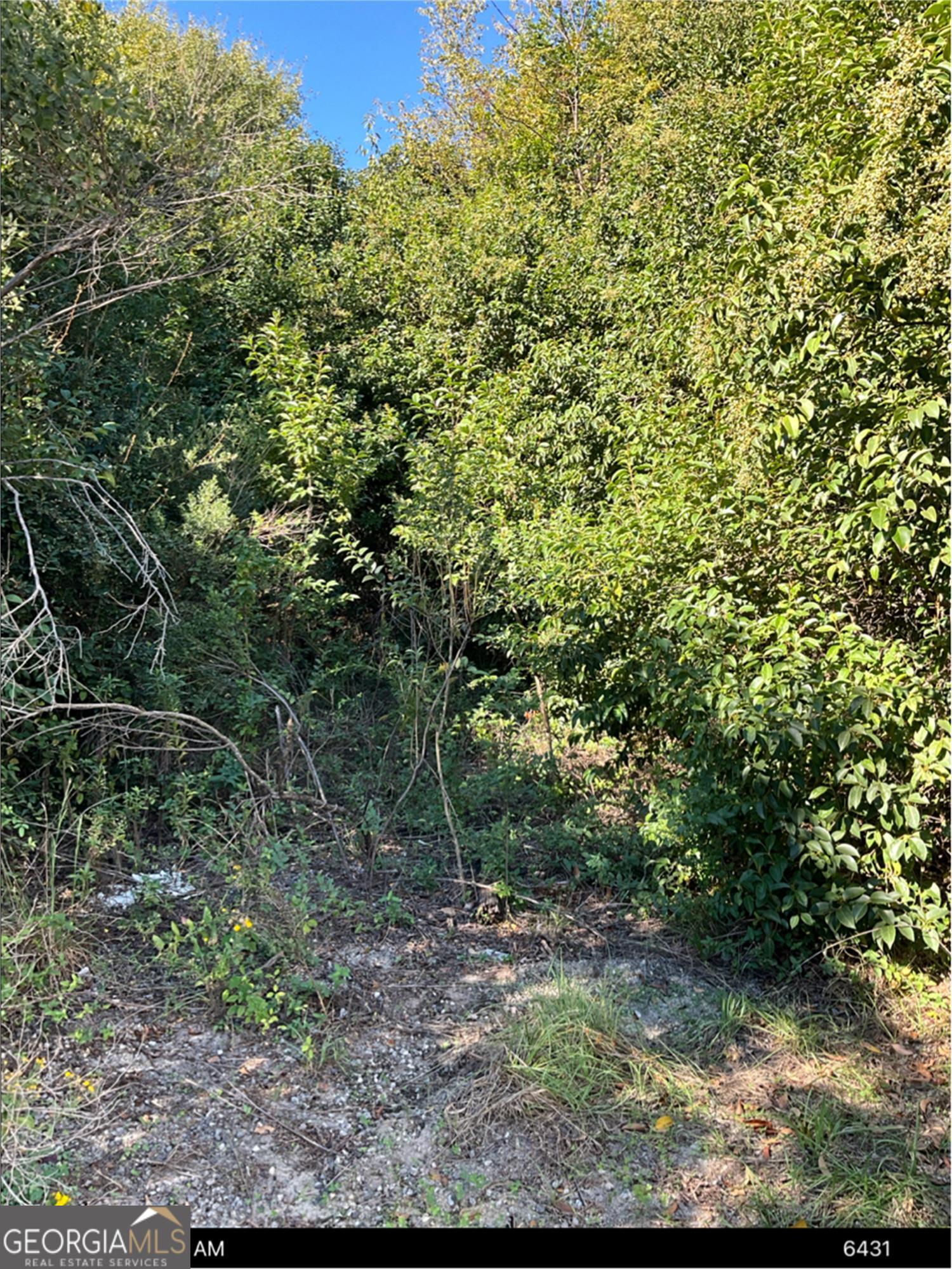 310 Curtis Street Property Photo 1