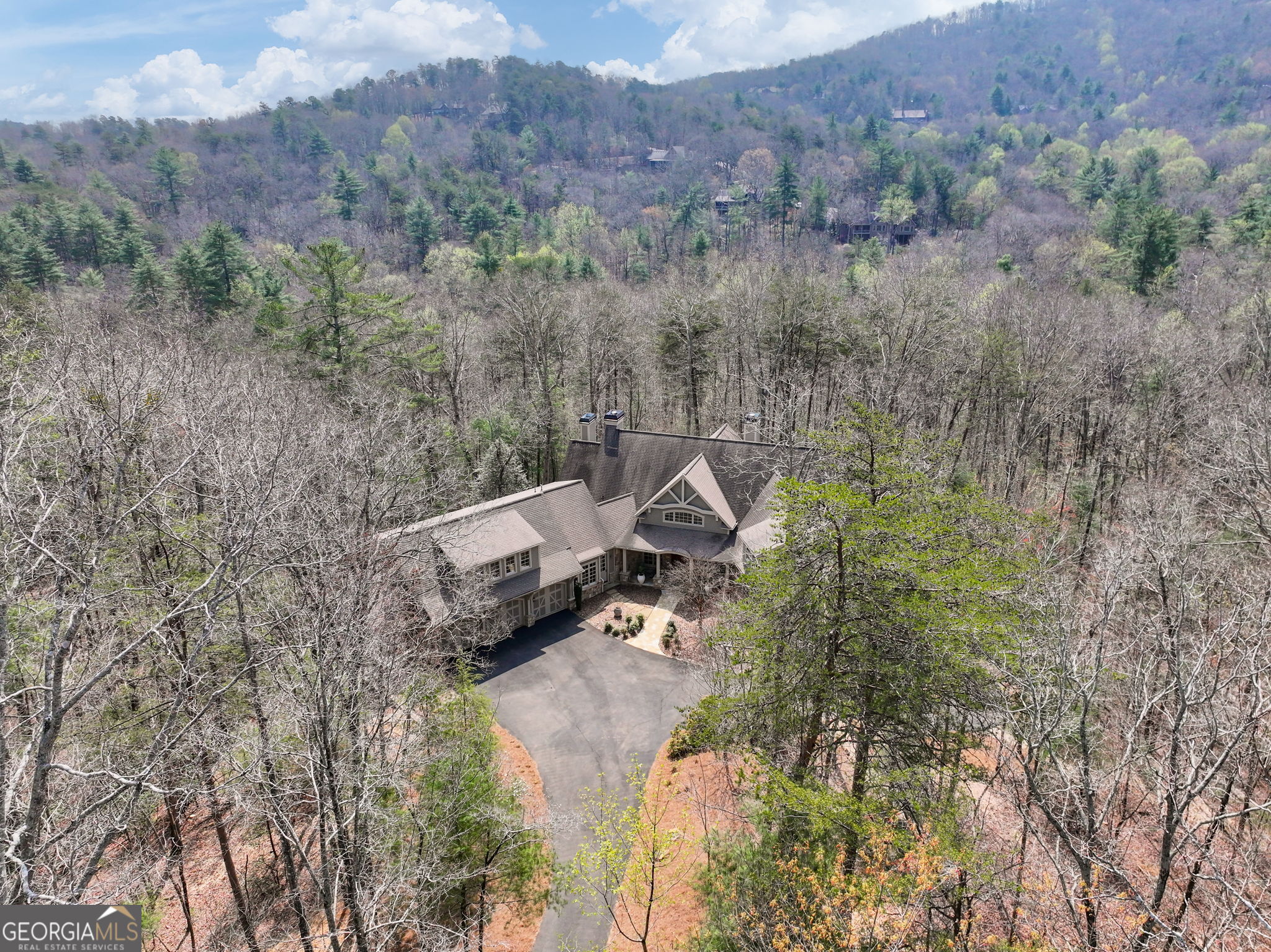 928 Black Bear Trail Property Photo 106
