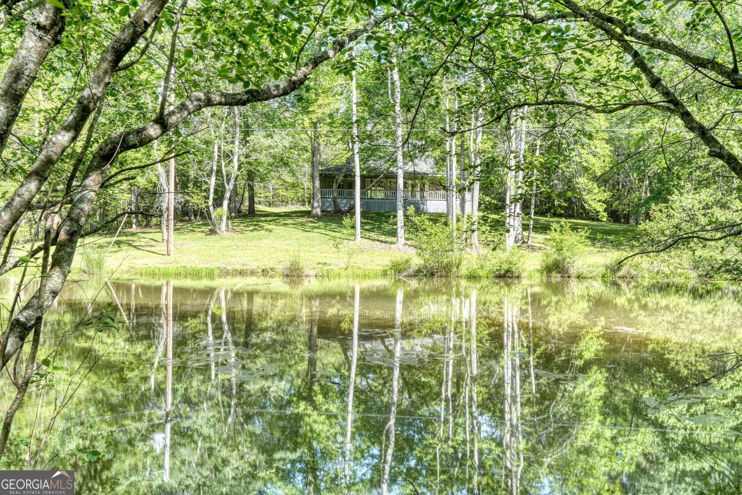 1493 Greasy Creek Road Property Photo 1