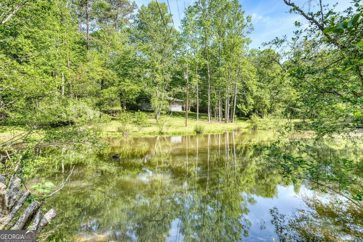 1493 Greasy Creek Road Property Photo 2